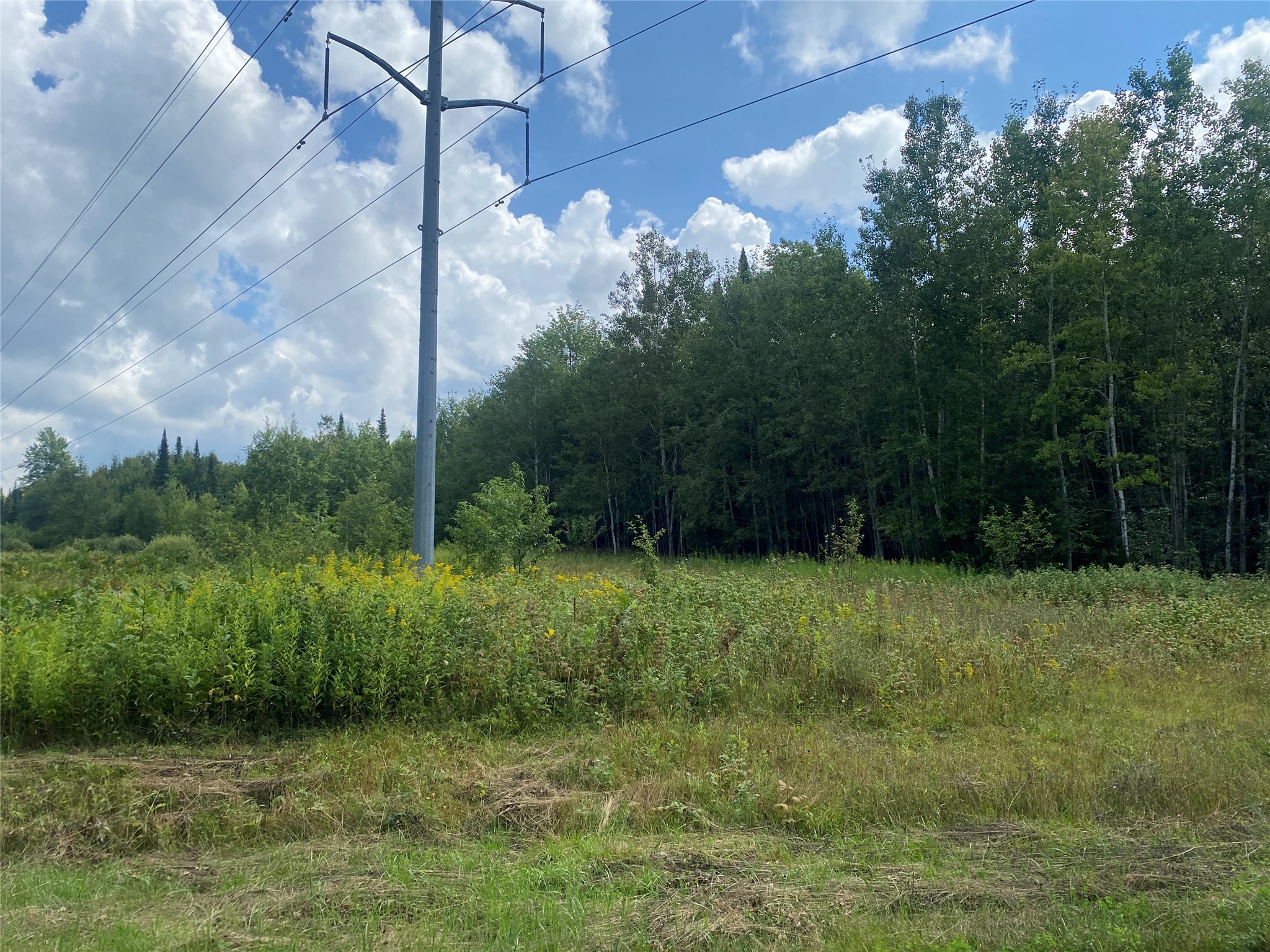 On Pixley Shores Road Property Photo 6
