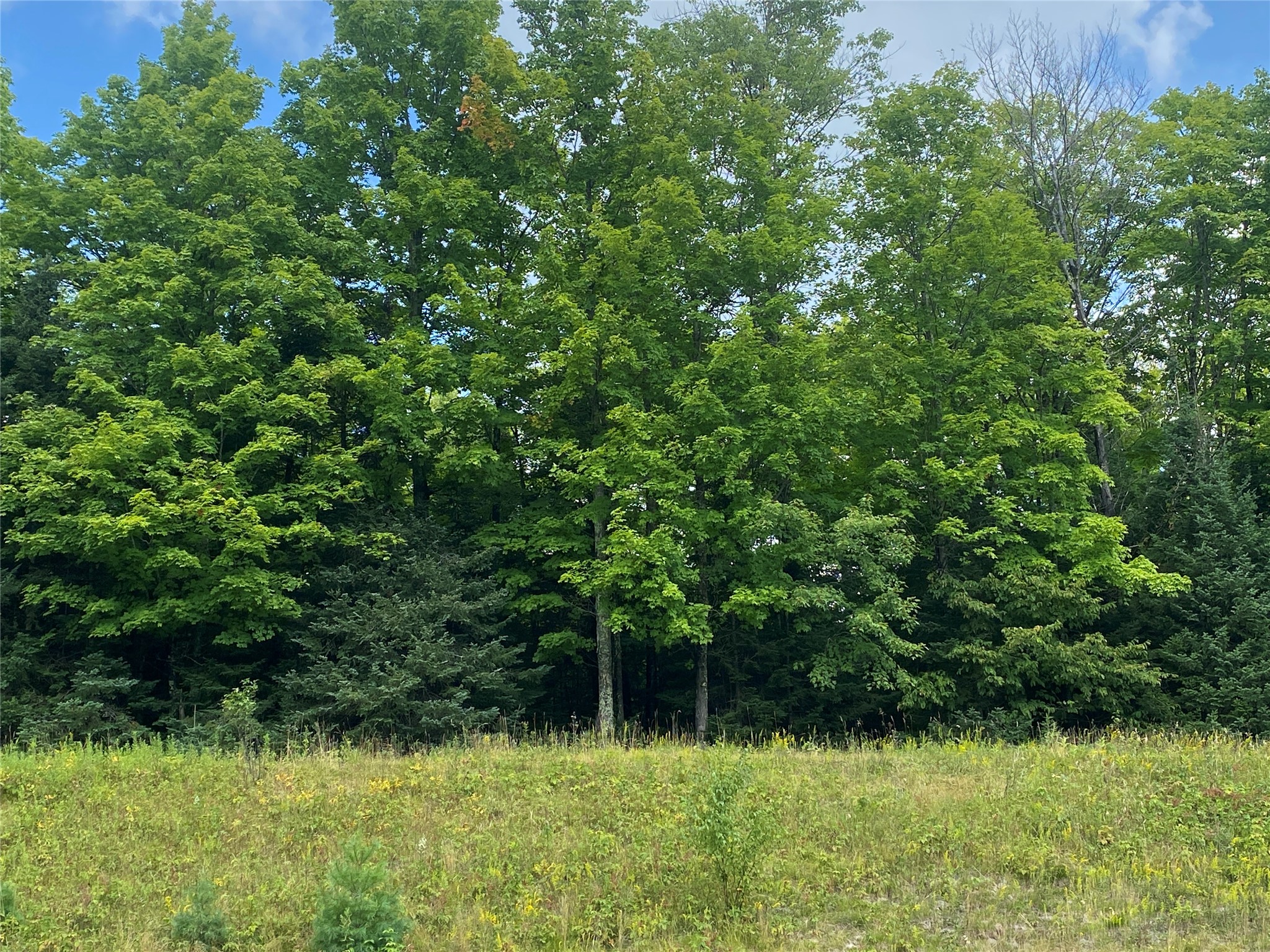 On Pixley Shores Road Property Photo 10