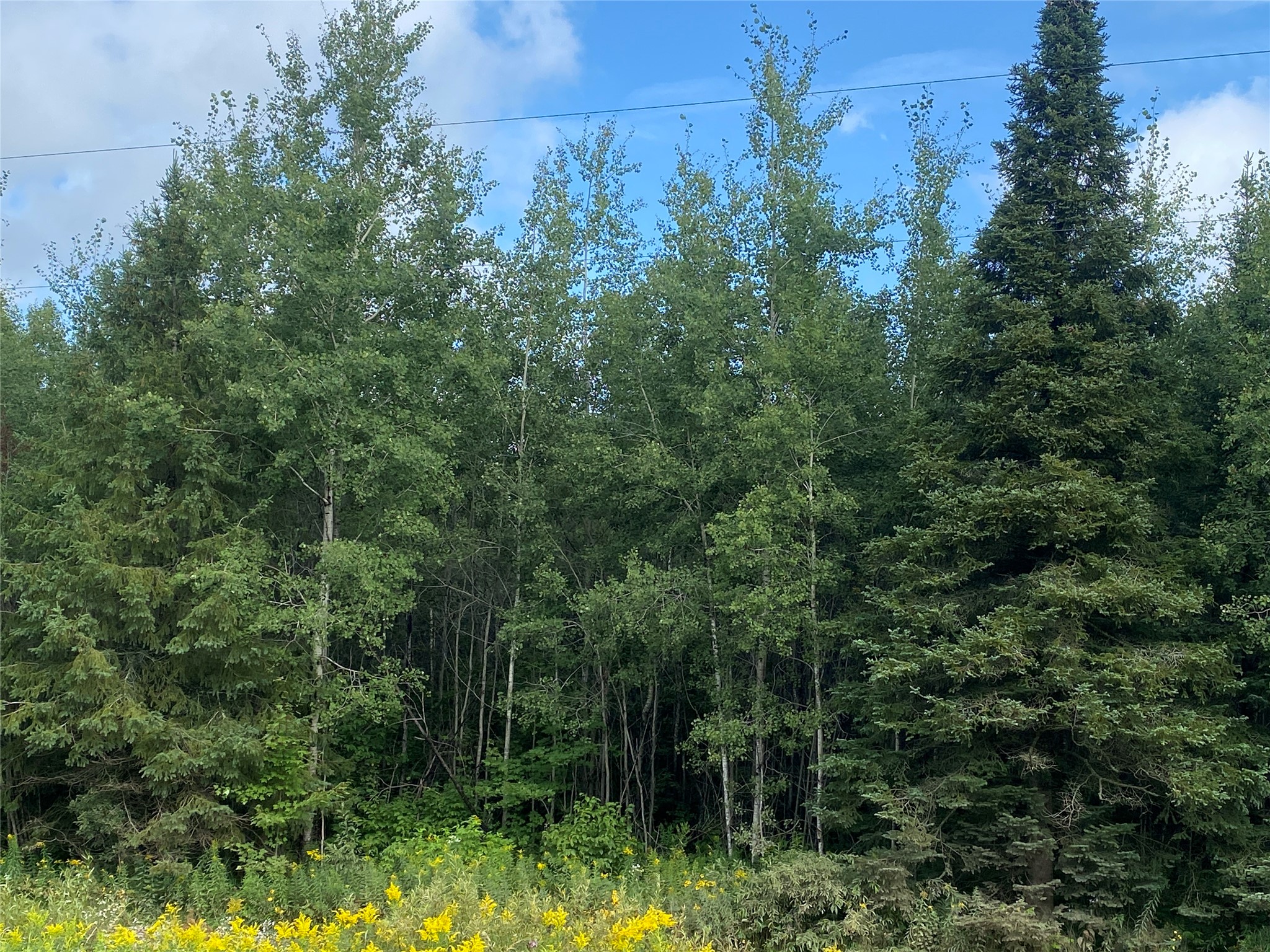 On County Highway E Property Photo 3