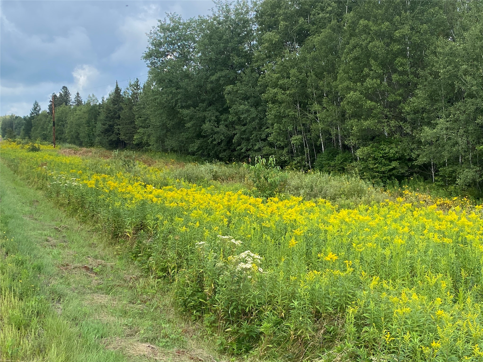 On County Highway E Property Photo 4