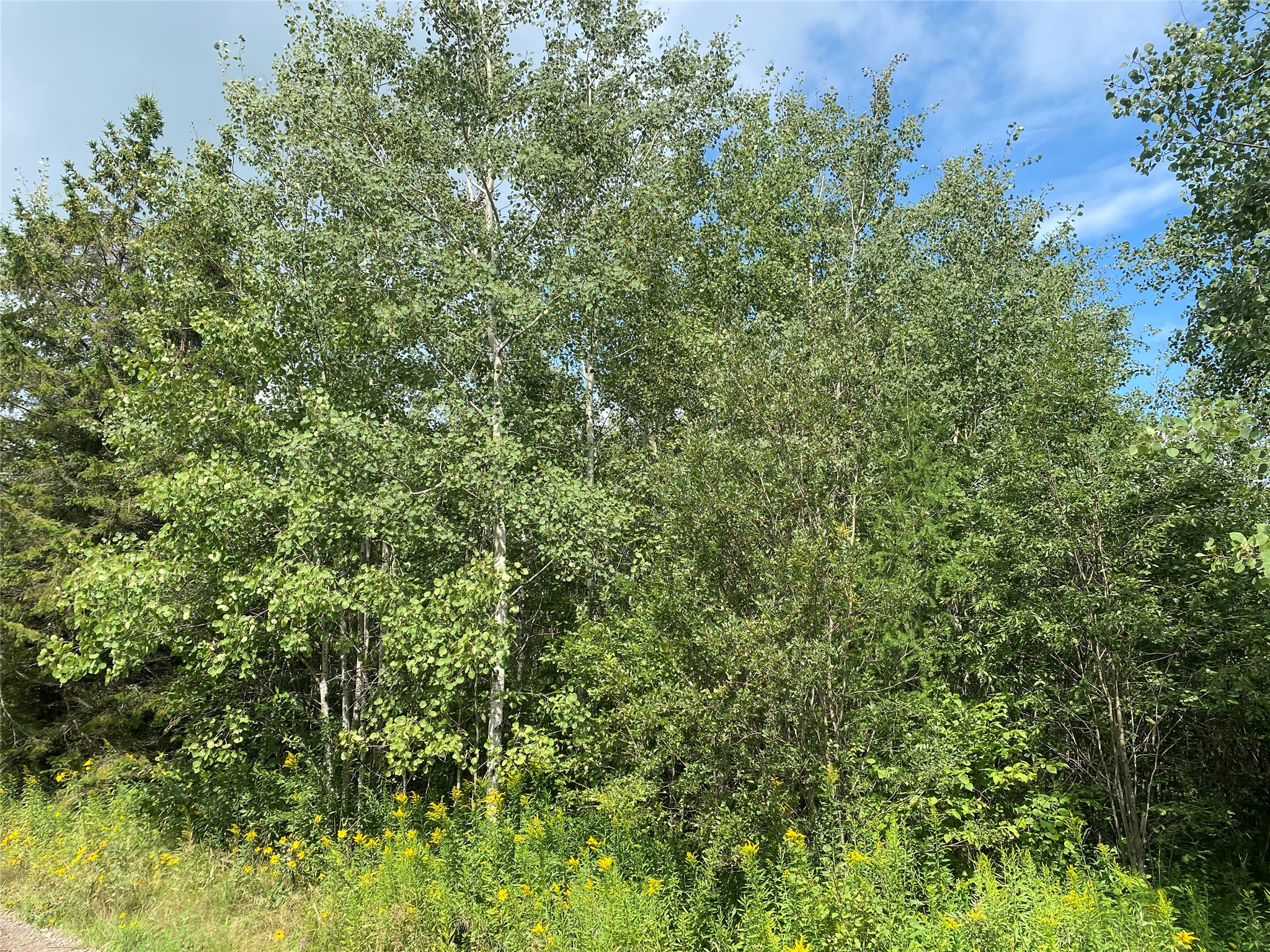 On County Highway E Property Photo 6