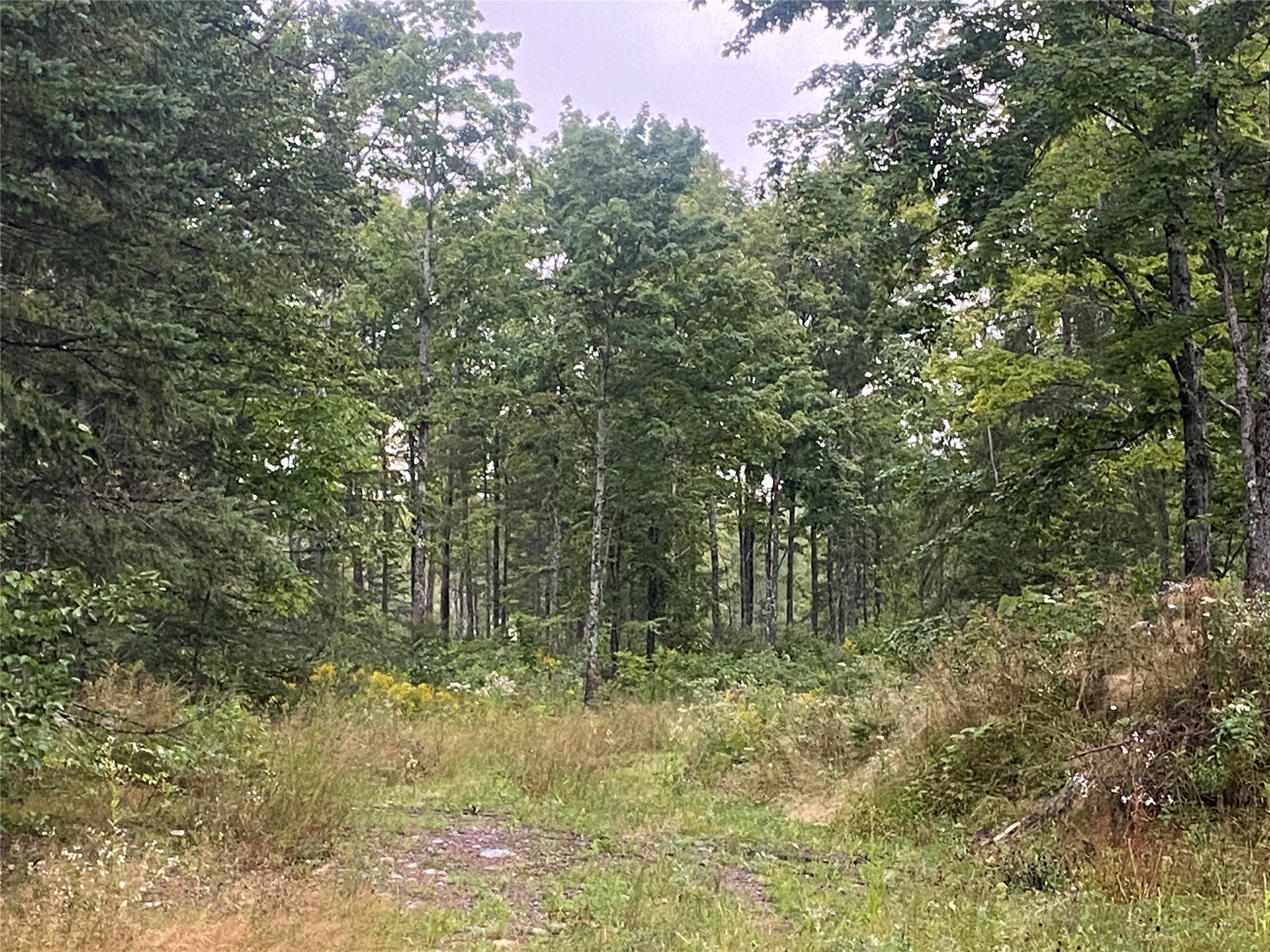 On Doland Road Property Photo 2