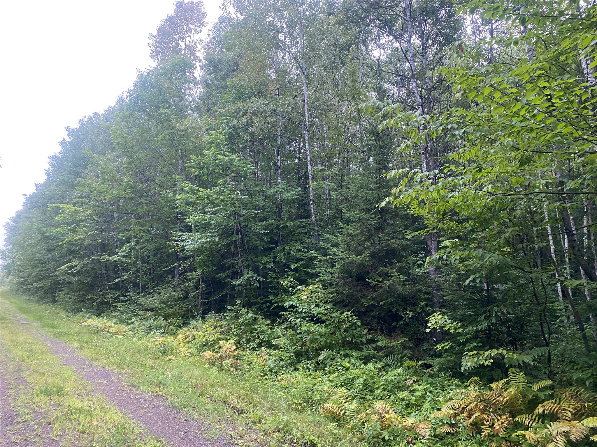 On Doland Road Property Photo 3