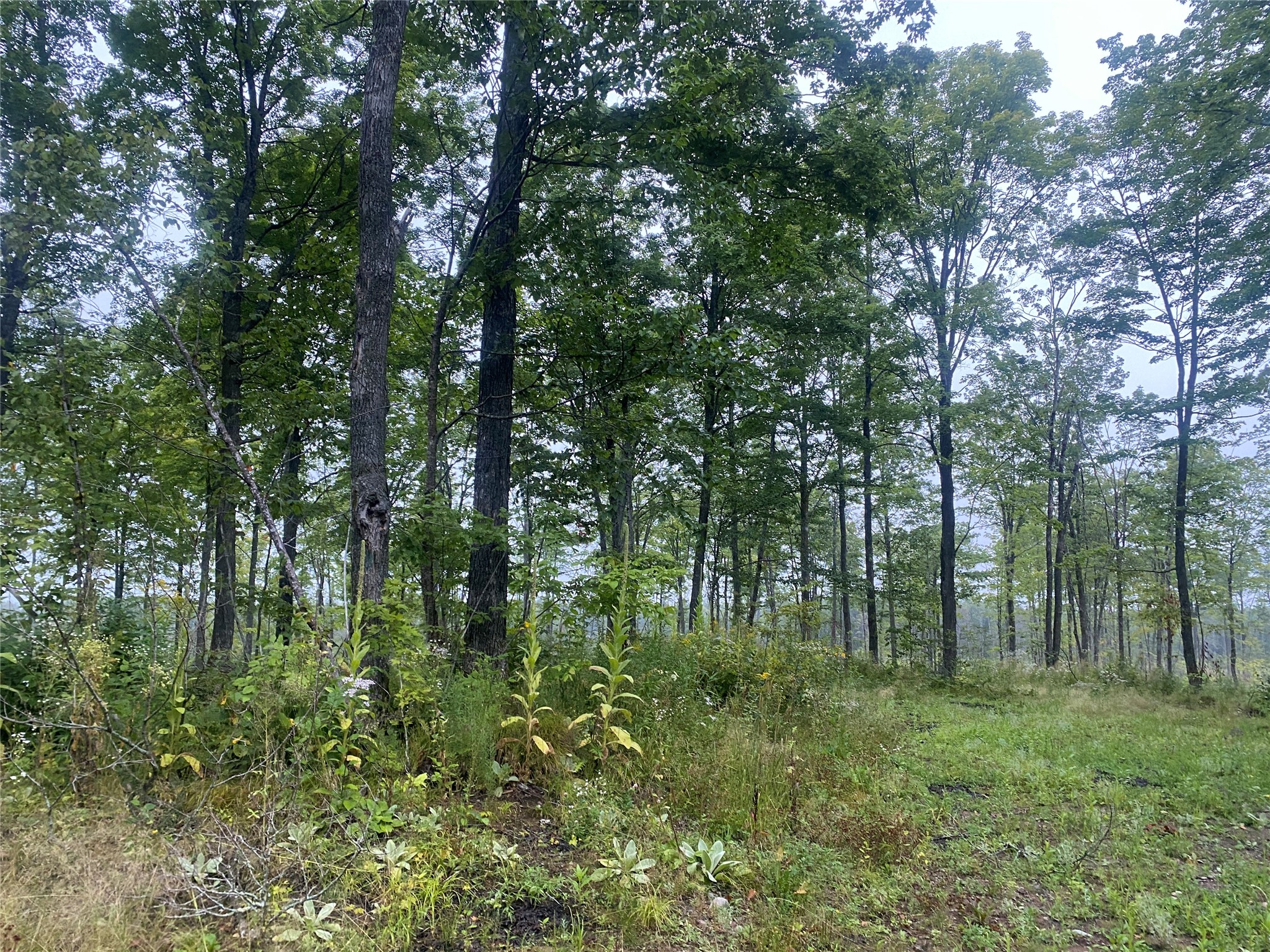 On Doland Road Property Photo 4