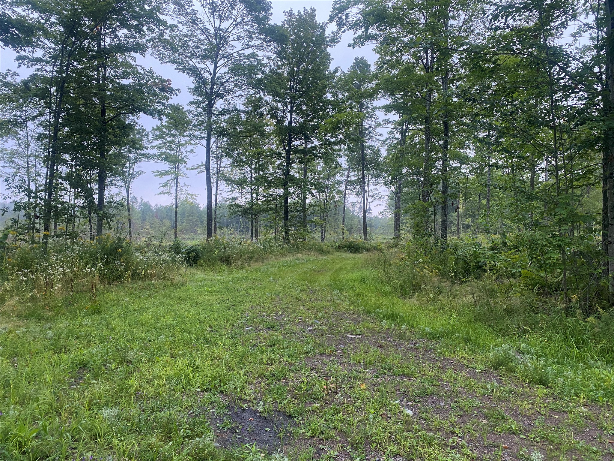 On Doland Road Property Photo 5