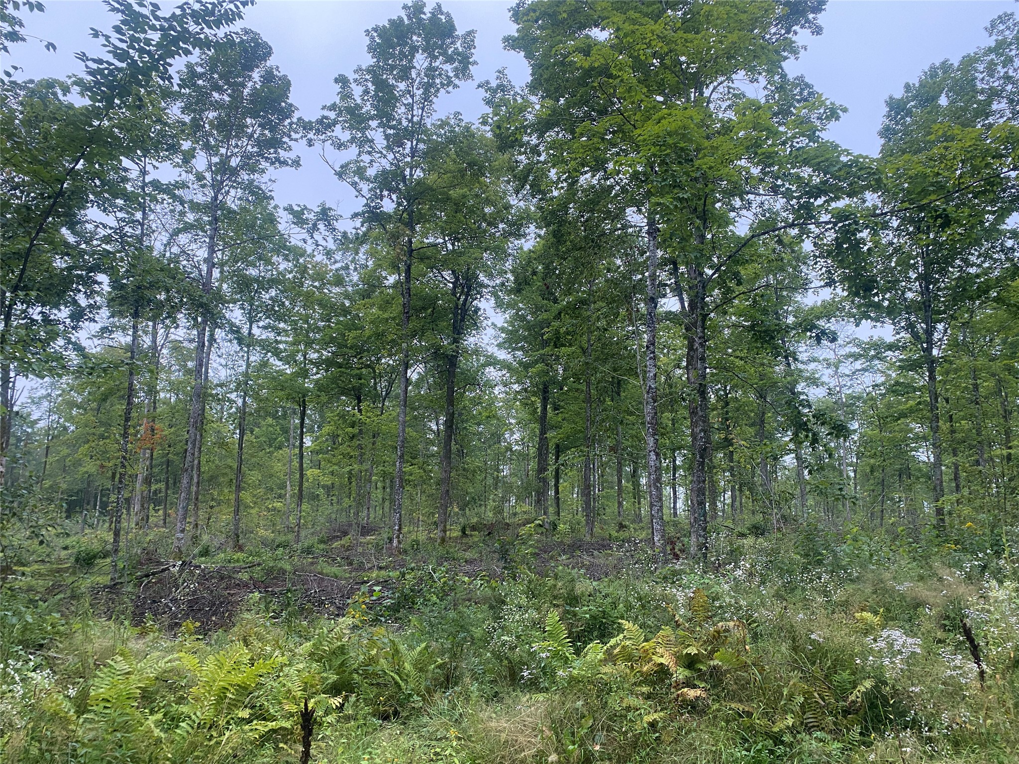 On Doland Road Property Photo 6