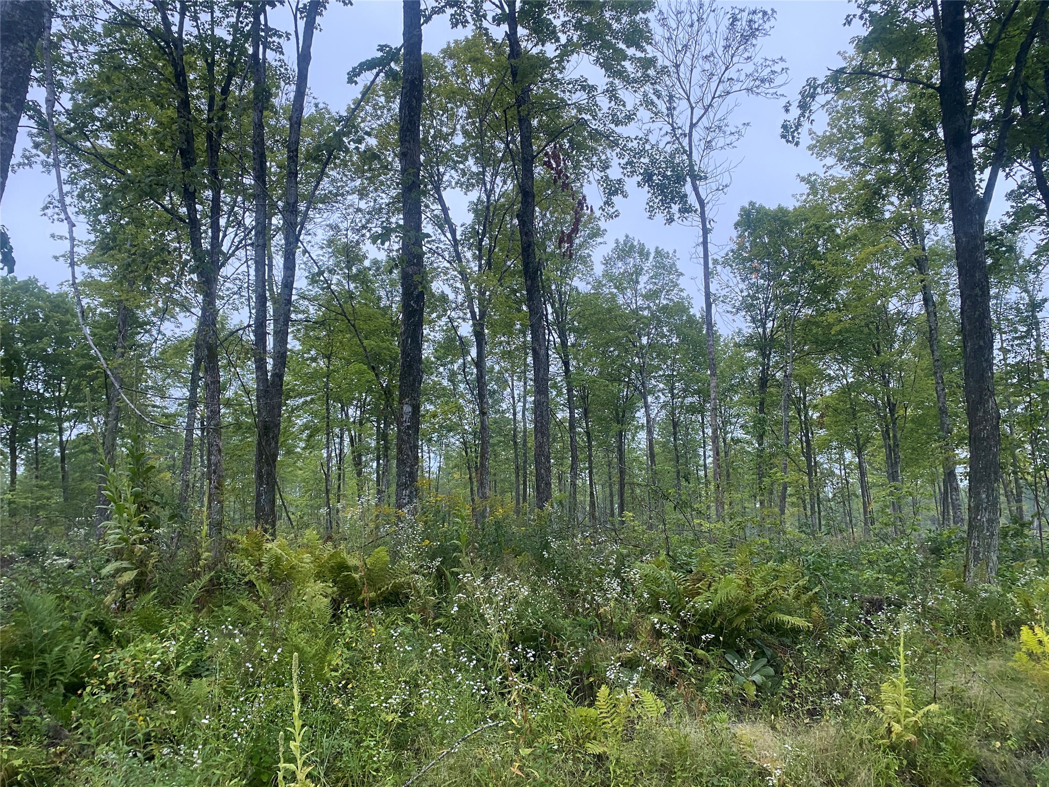 On Doland Road Property Photo 7