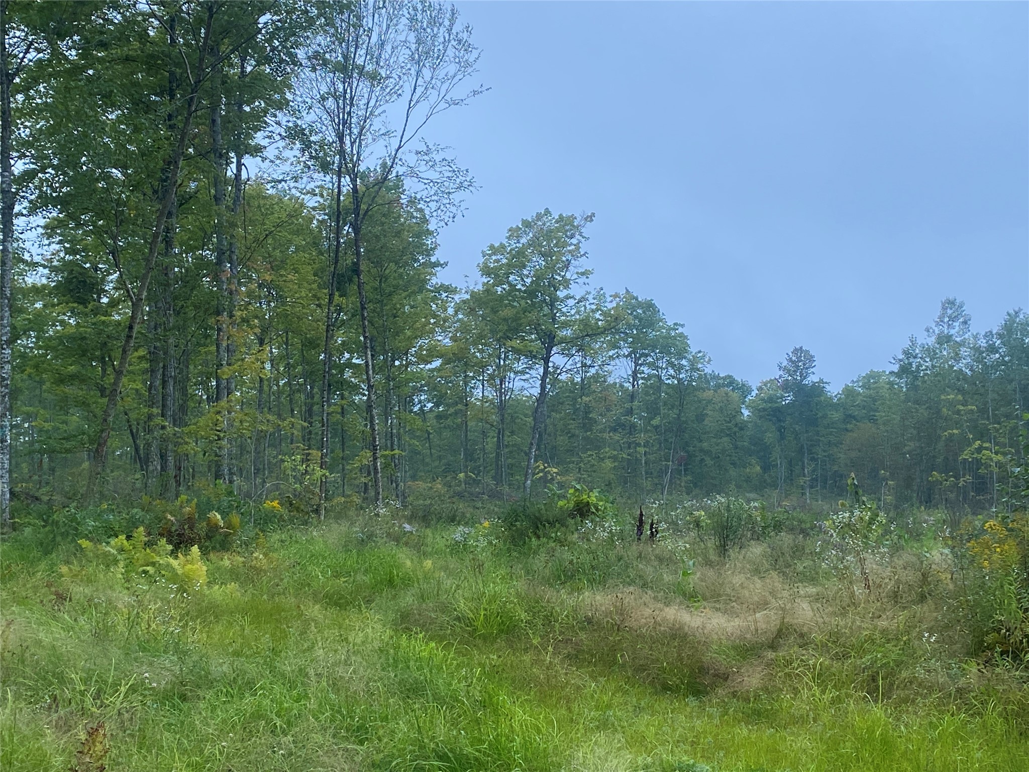 On Doland Road Property Photo 8