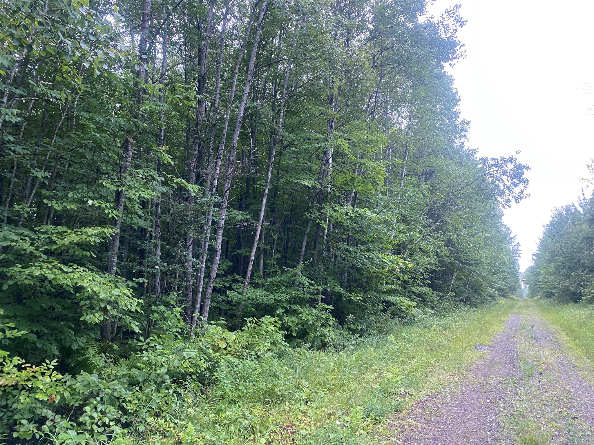 On Doland Road Property Photo 9