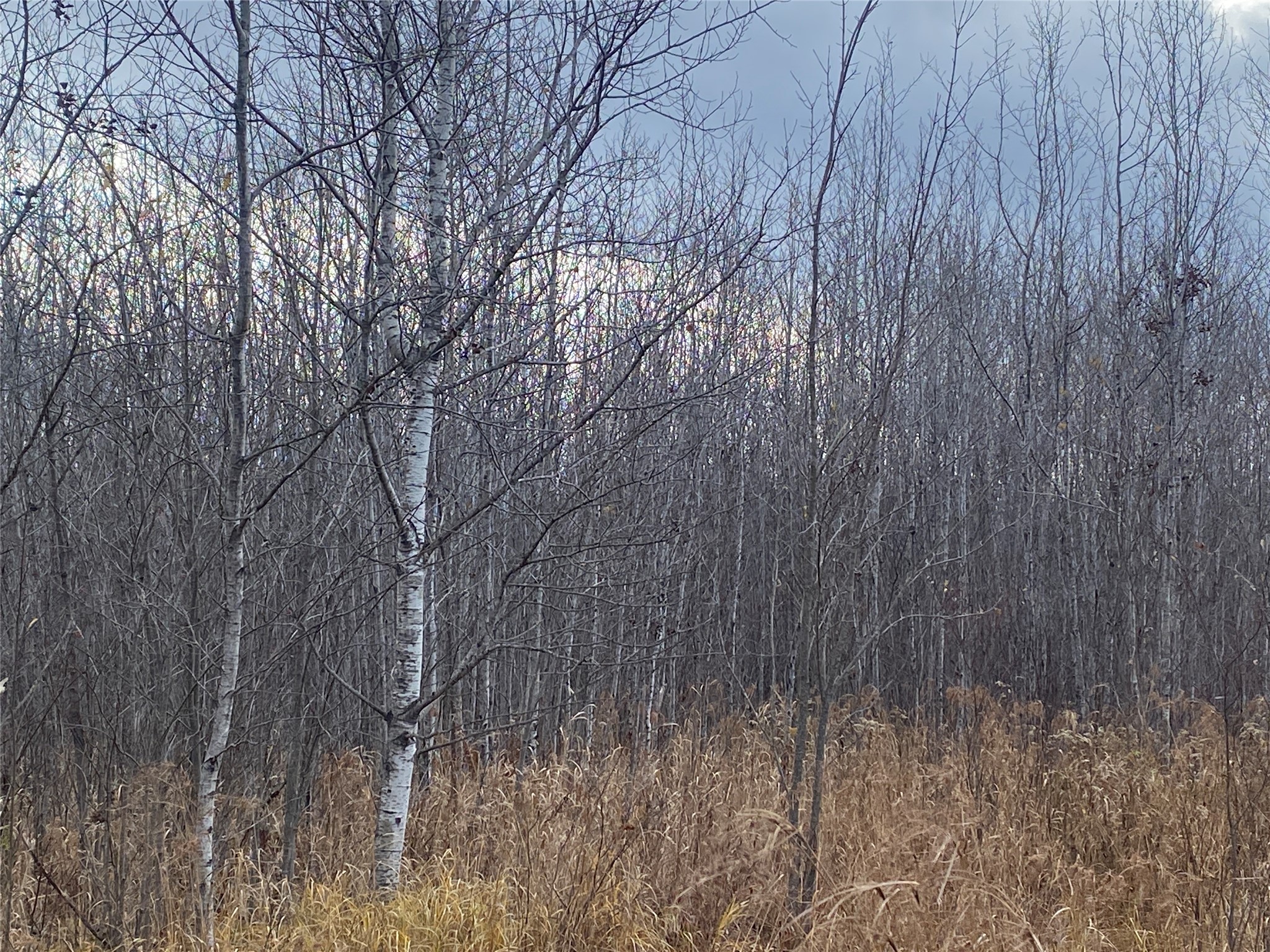 Near Timber Road Property Photo 3