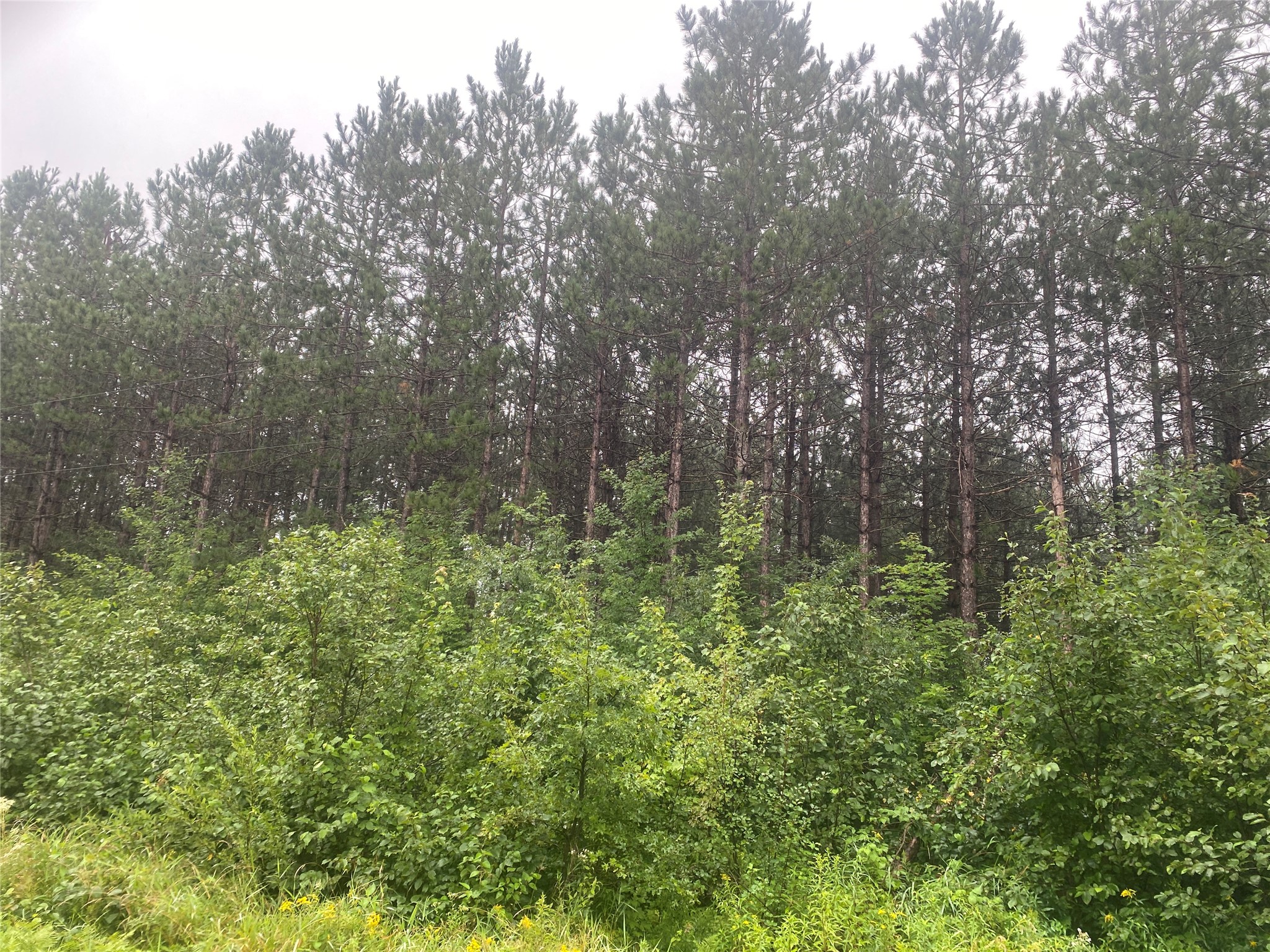 On Old 14 Road Property Photo 3