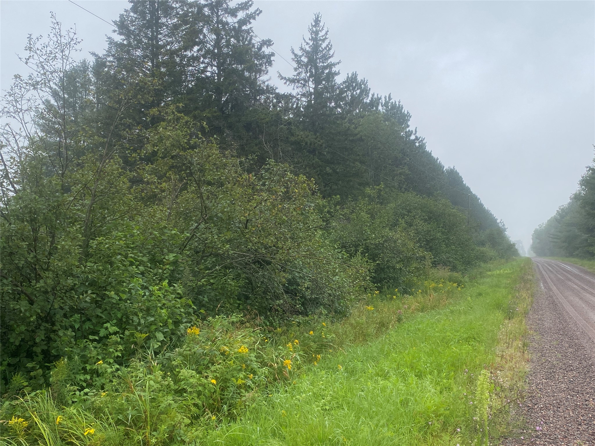 On Old 14 Road Property Photo 8