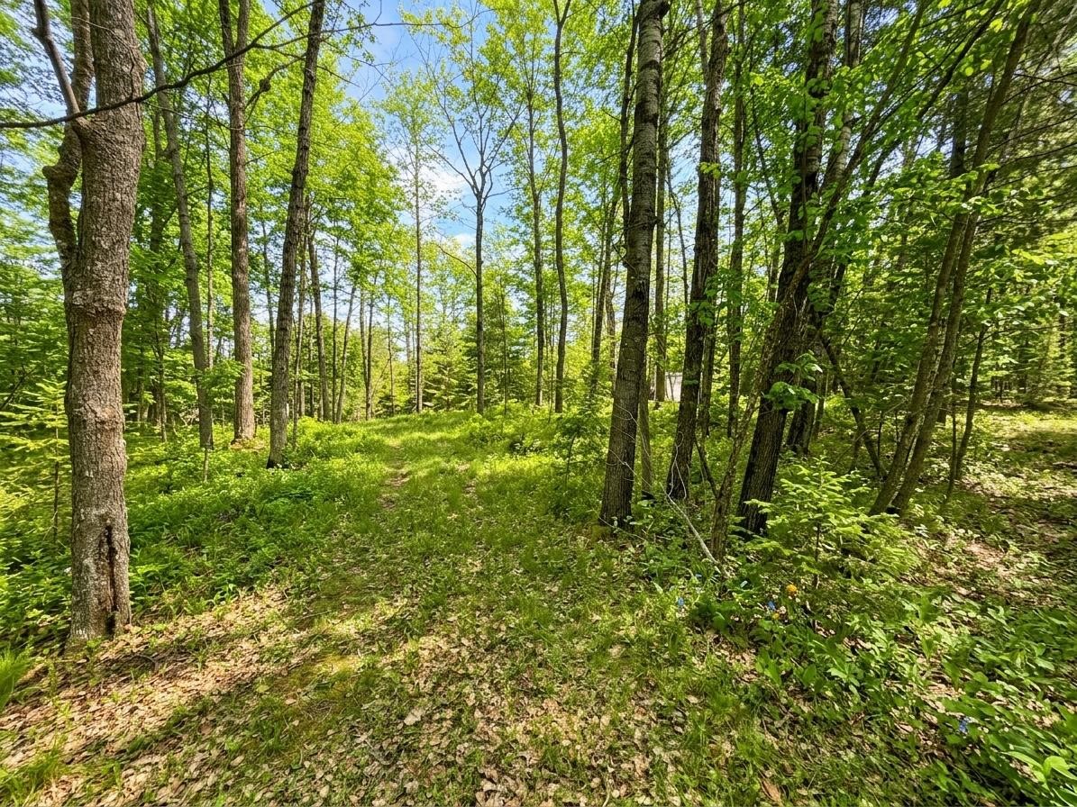 2861 29 7/16 Avenue Property Photo 2