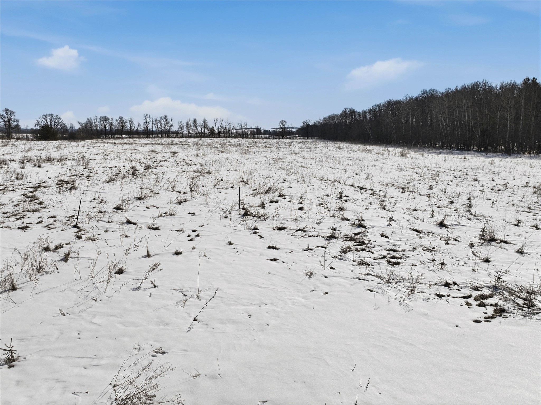 8733 State Highway 64 Property Photo 5