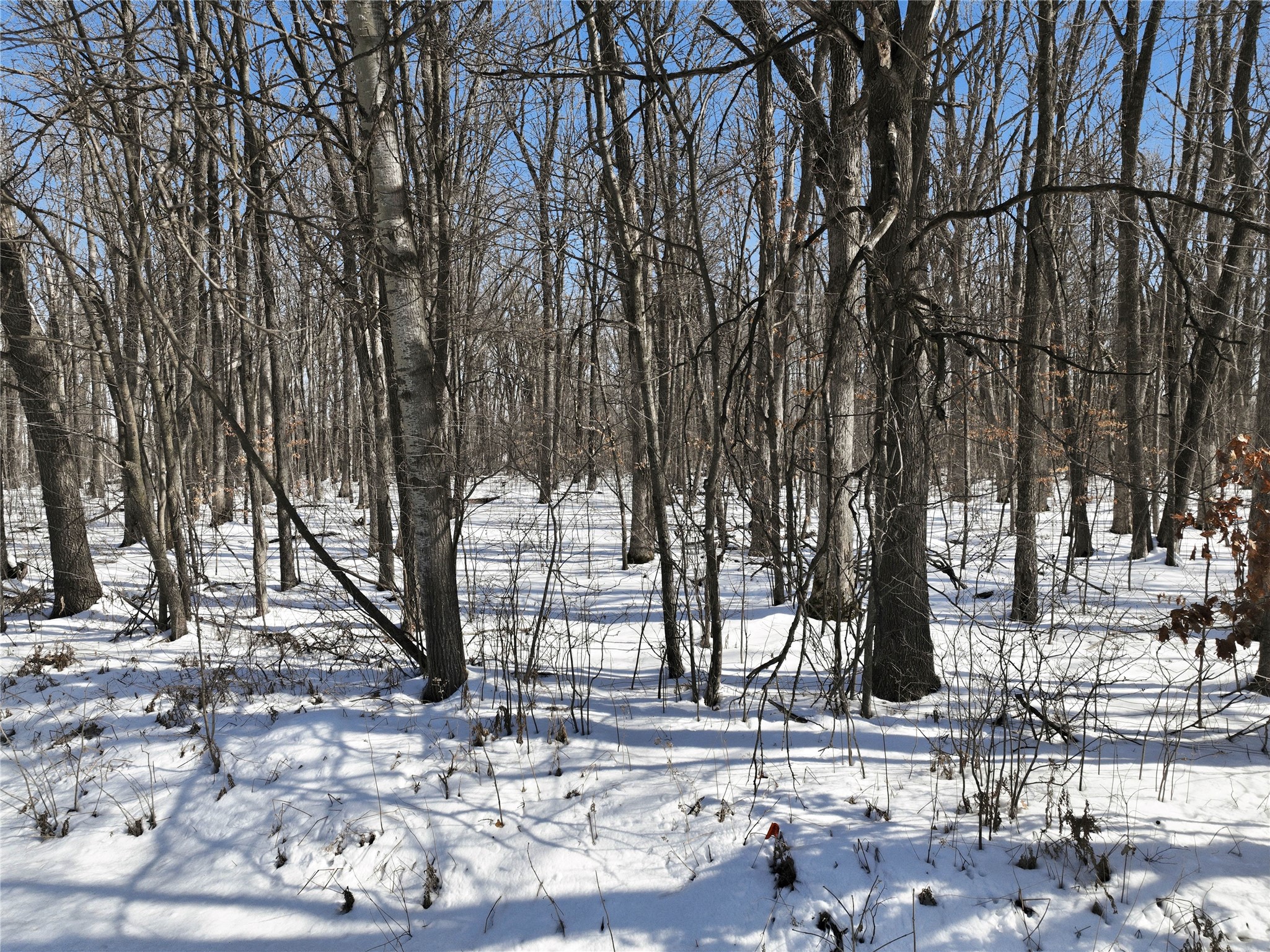 8733 State Highway 64 Property Photo 9