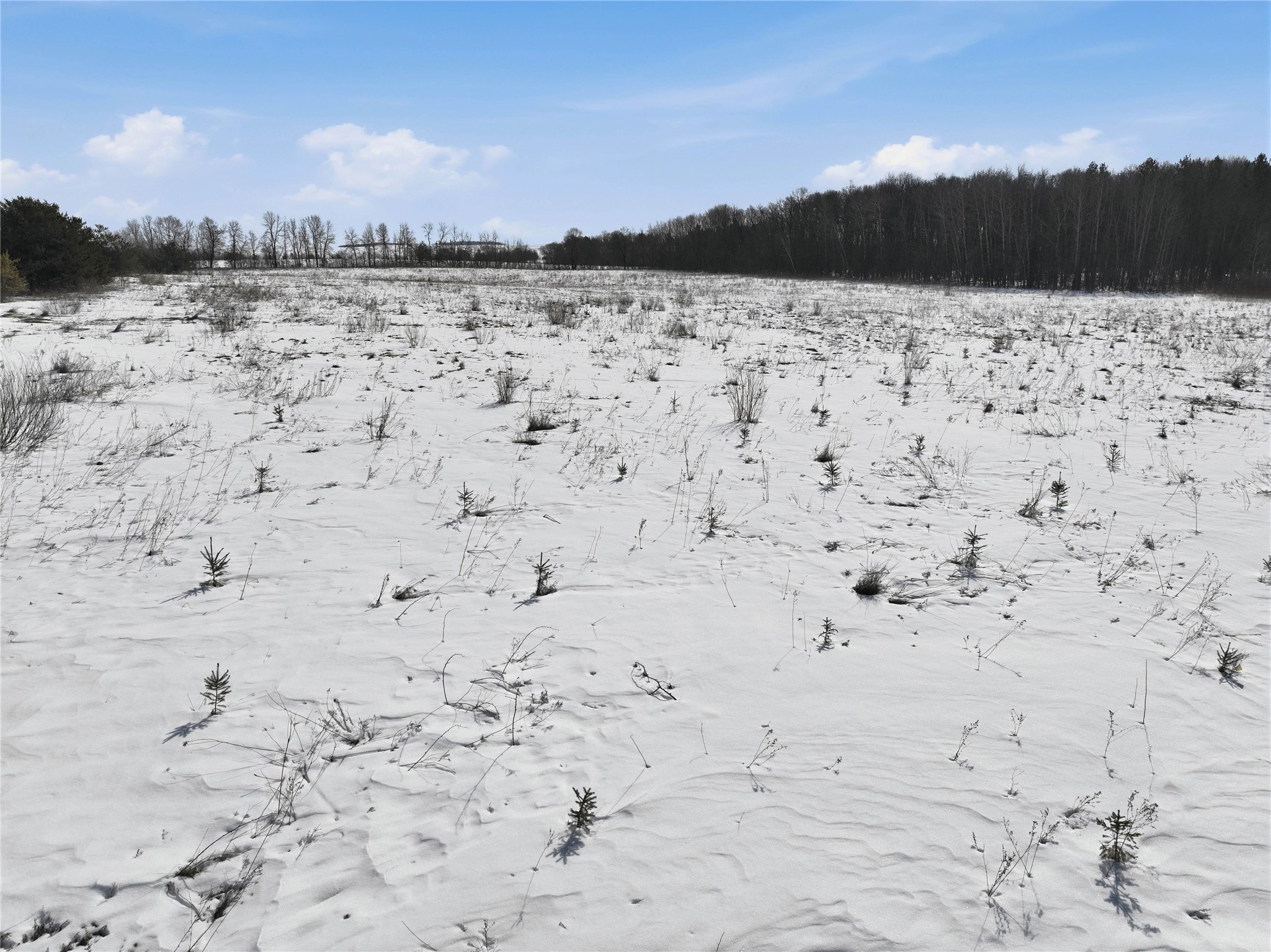 8733 State Highway 64 Property Photo 14