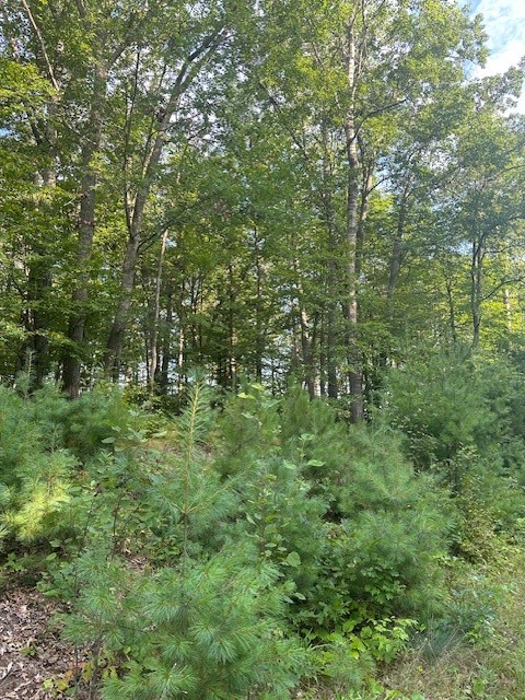 0000 Cesna Lane Property Photo 2