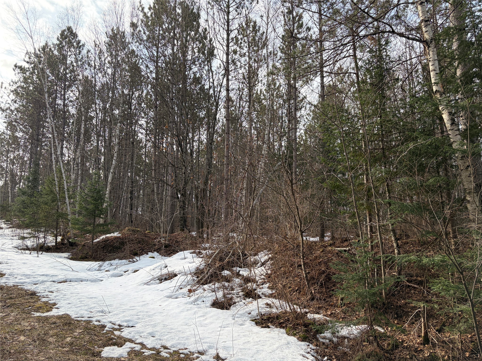 On Barker Lake Road Property Photo 4