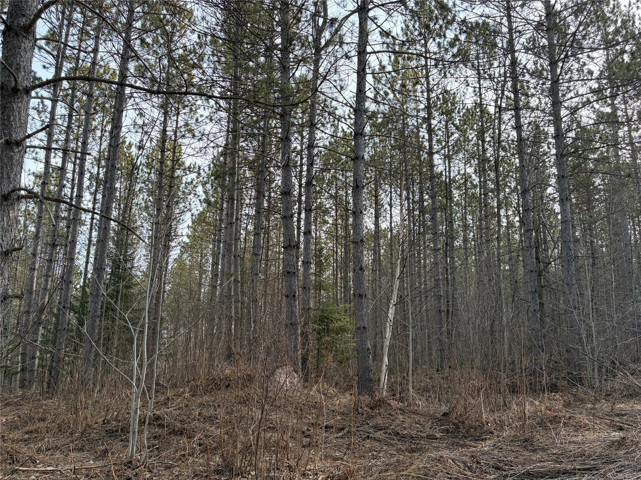 On Barker Lake Road Property Photo 6