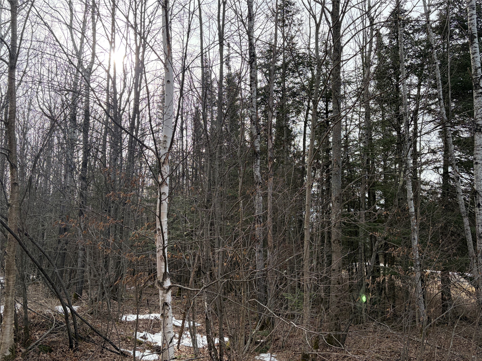 On County Highway B Property Photo 5
