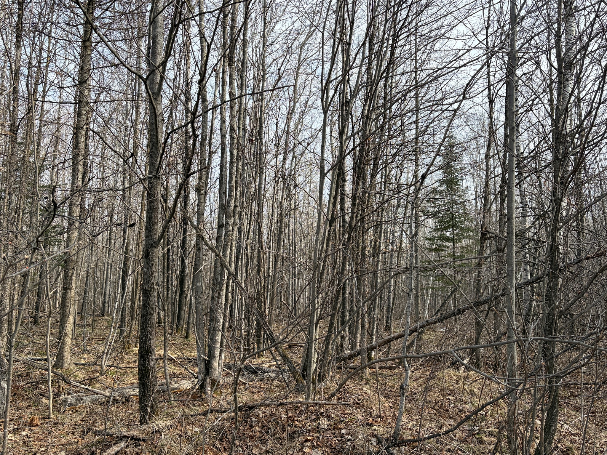 On County Highway B Property Photo 6