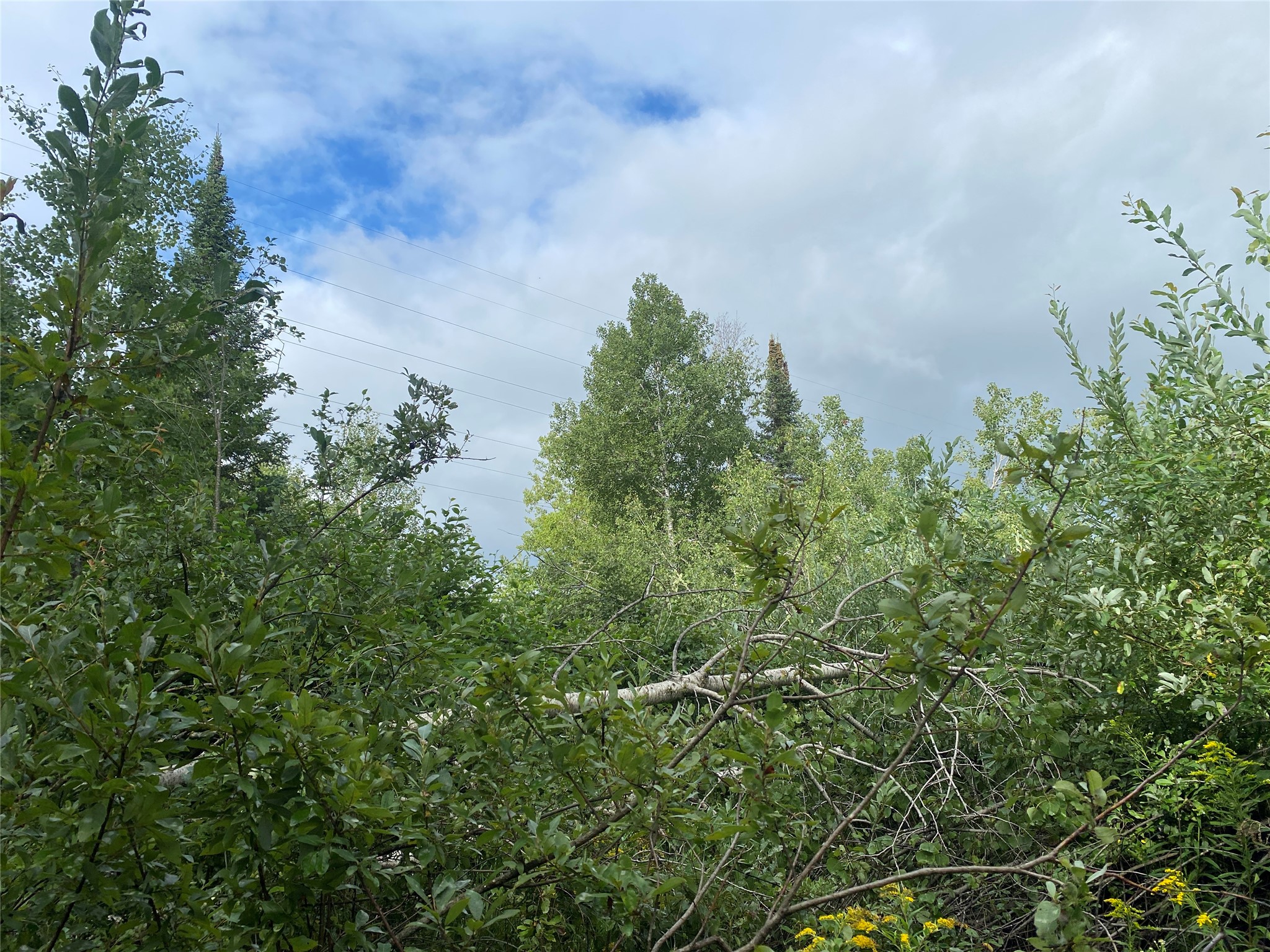 On Delap Lane Property Photo 3