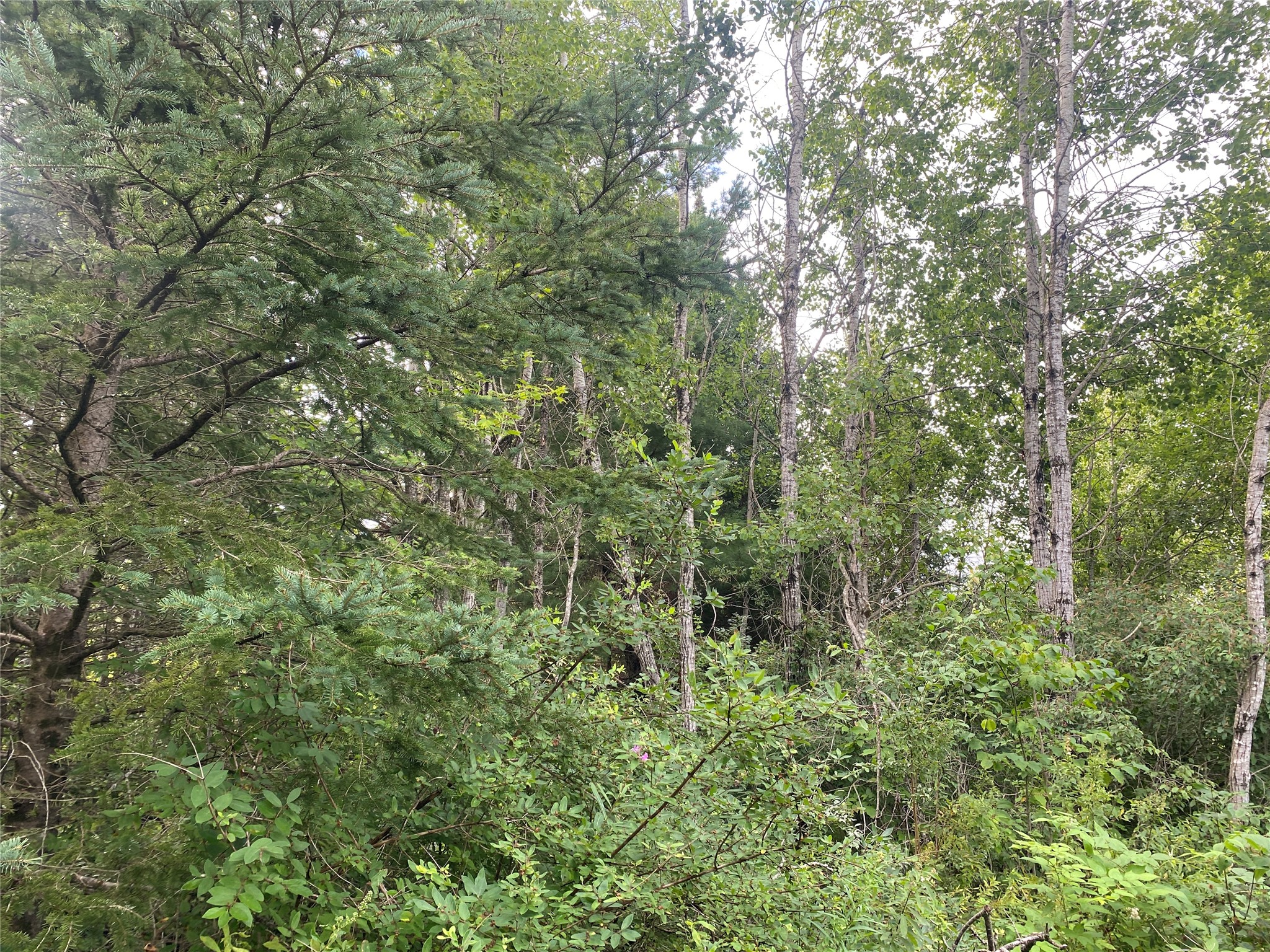 On Delap Lane Property Photo 4