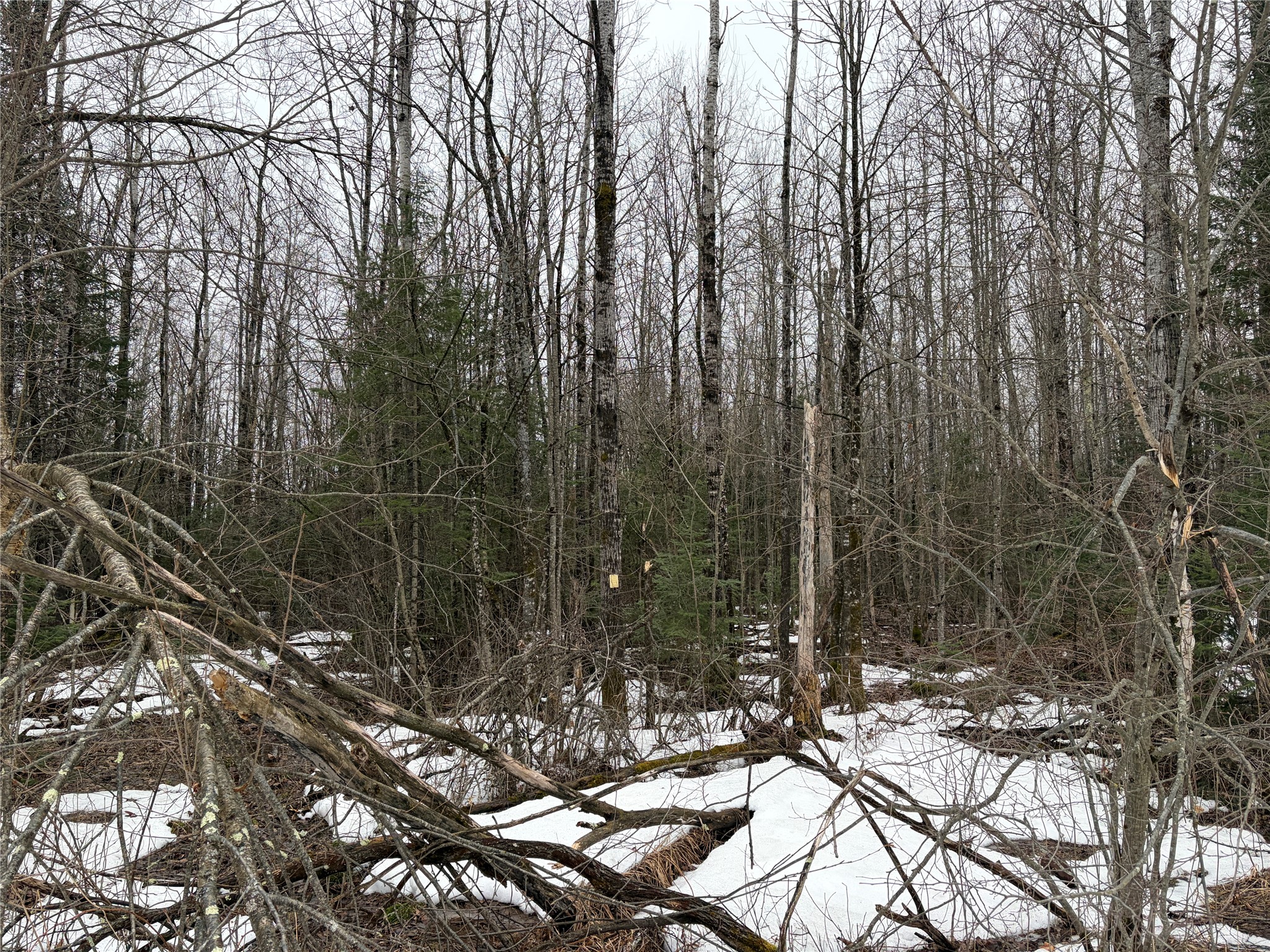 ON N Hofer Road Property Photo 1