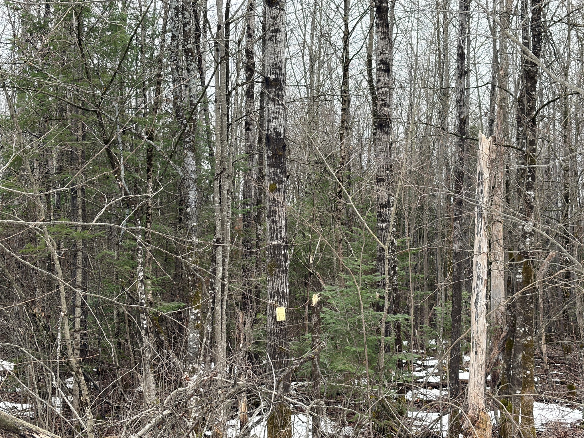 On N Hofer Road Property Photo 2