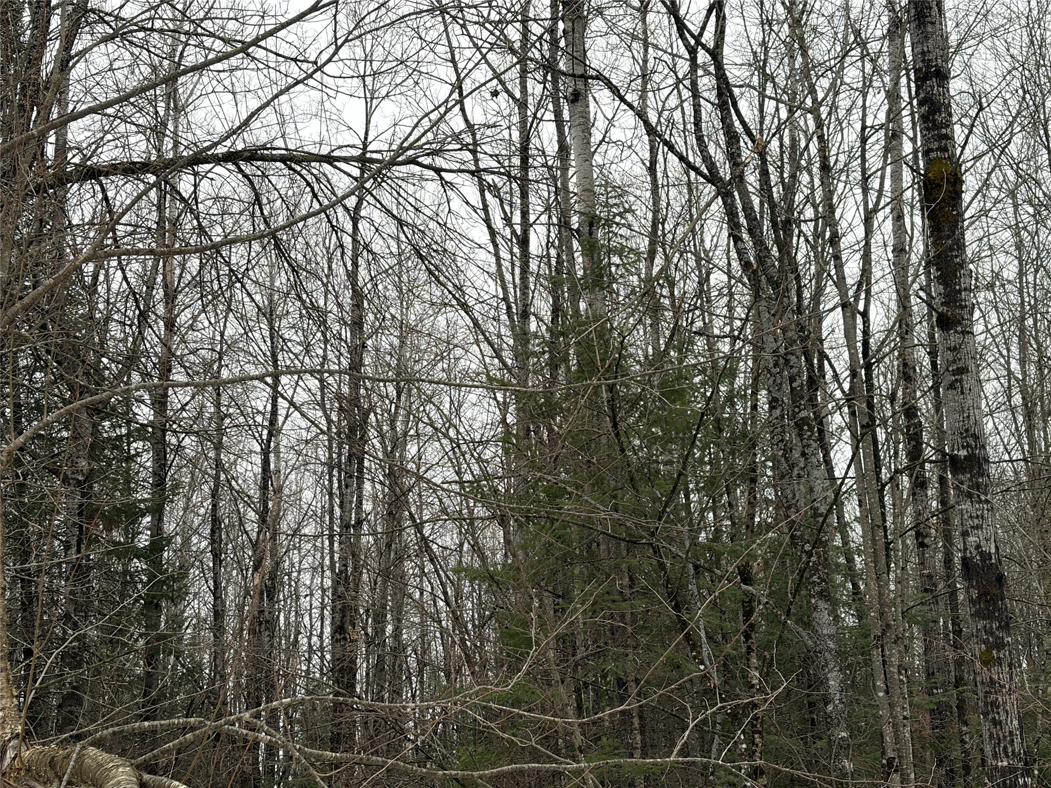 On N Hofer Road Property Photo 3