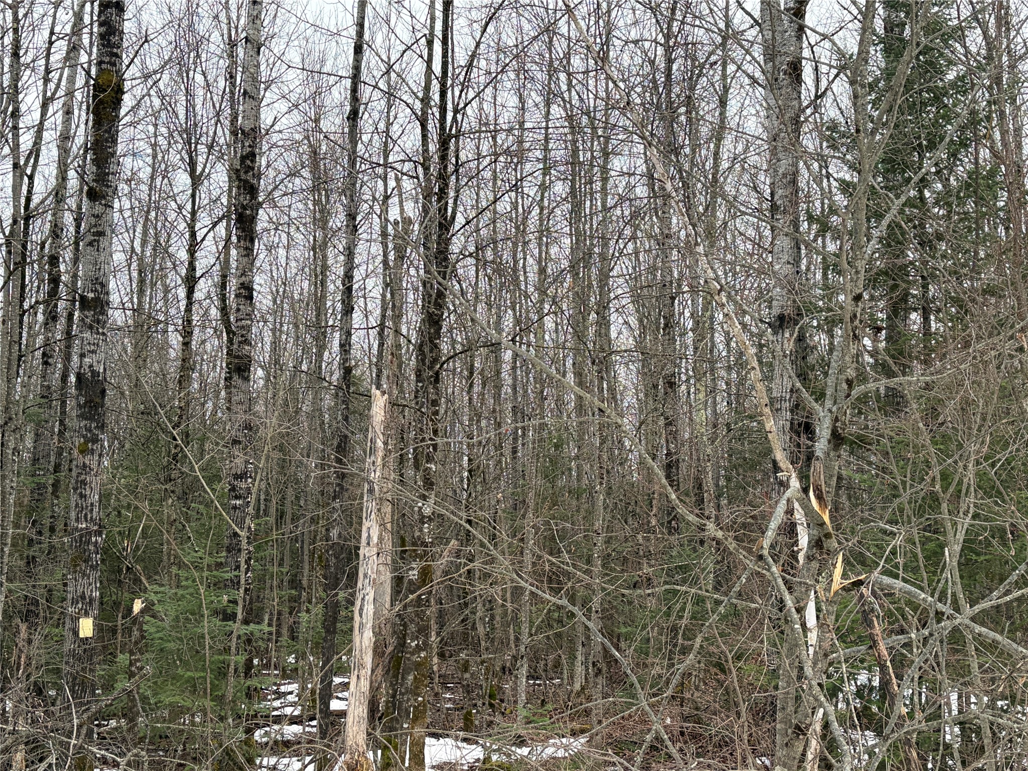On N Hofer Road Property Photo 4