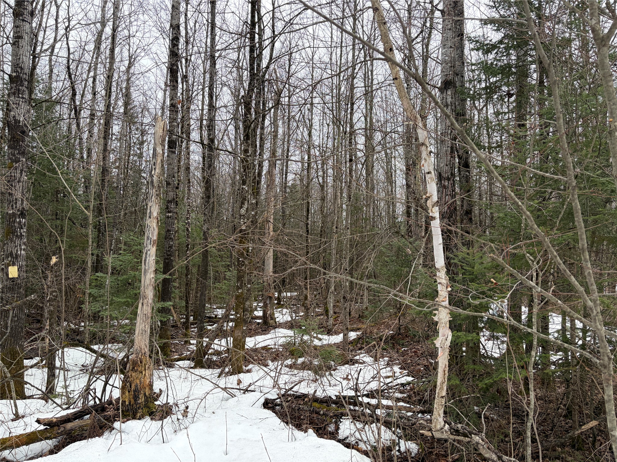 On N Hofer Road Property Photo 5