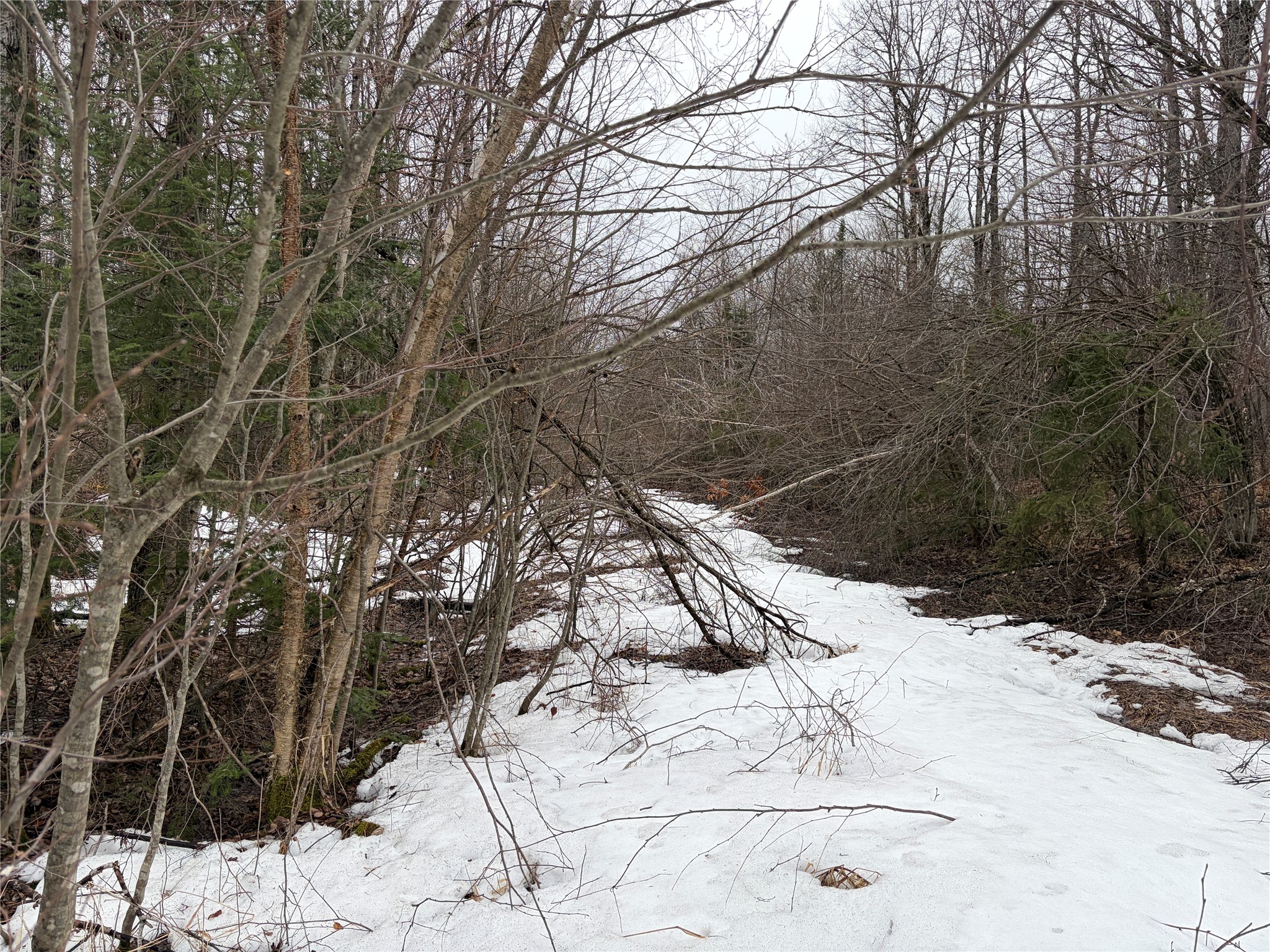 On N Hofer Road Property Photo 6