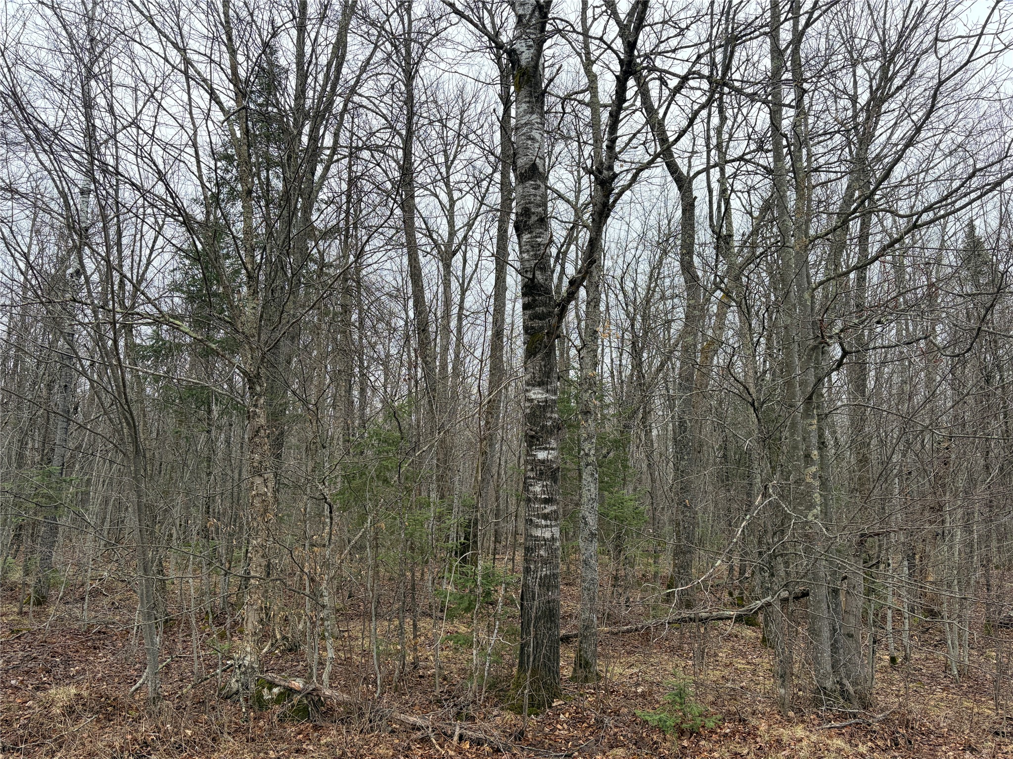 On N Hofer Road Property Photo 2