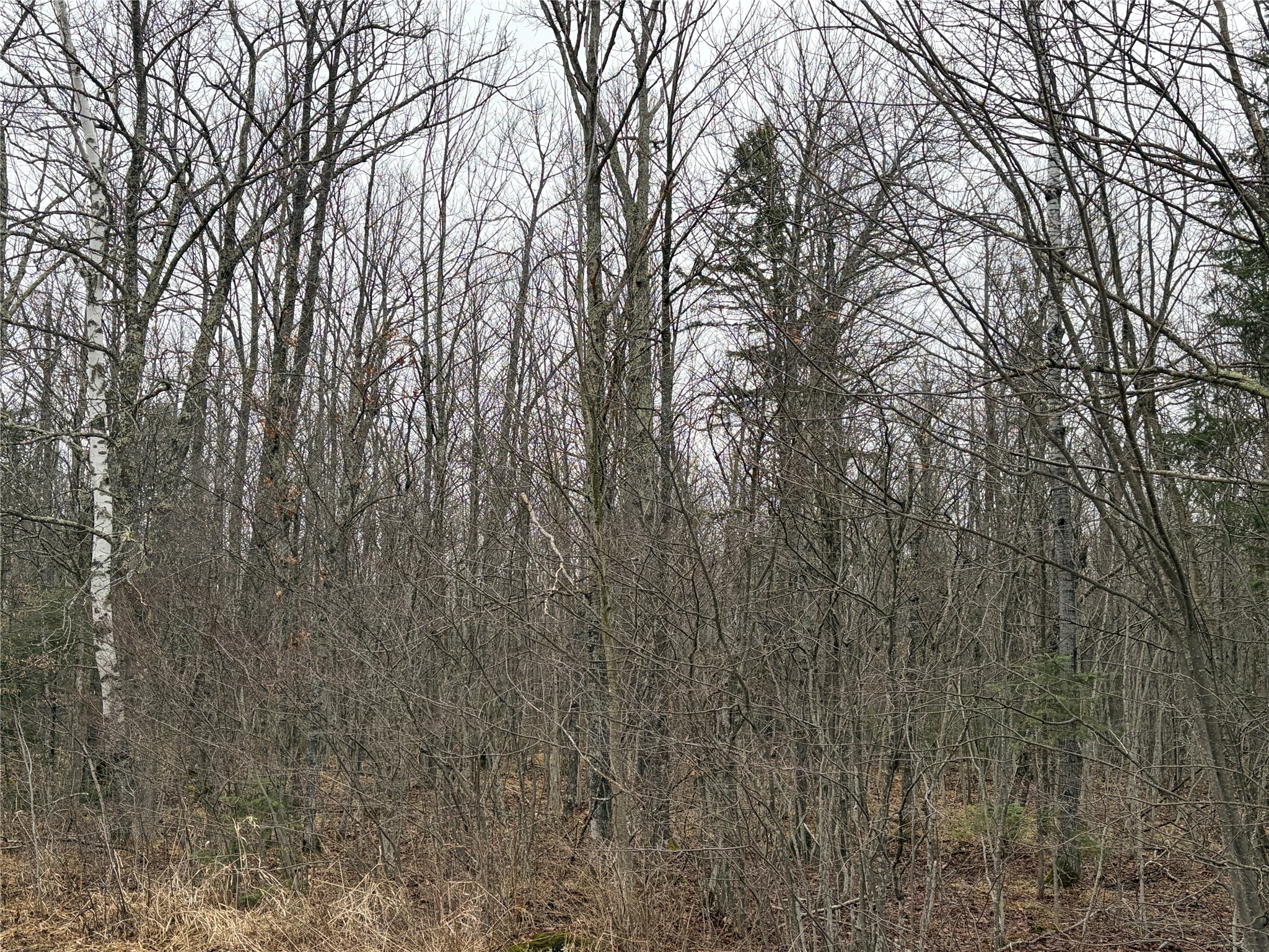 On N Hofer Road Property Photo 4