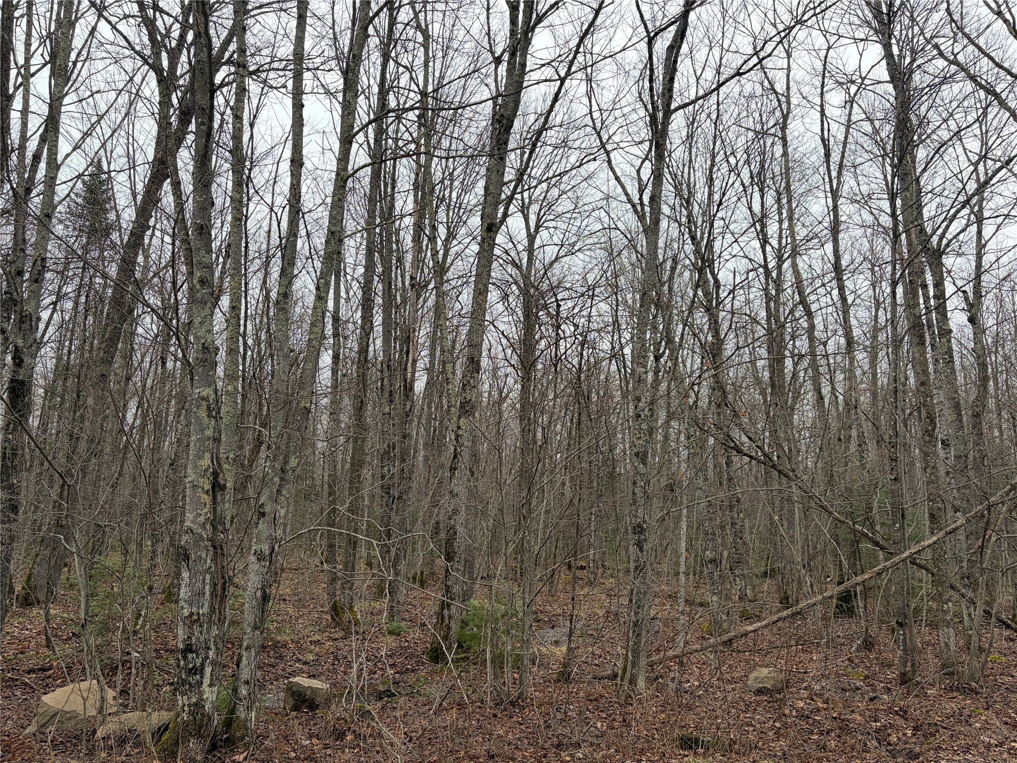 On N Hofer Road Property Photo 6