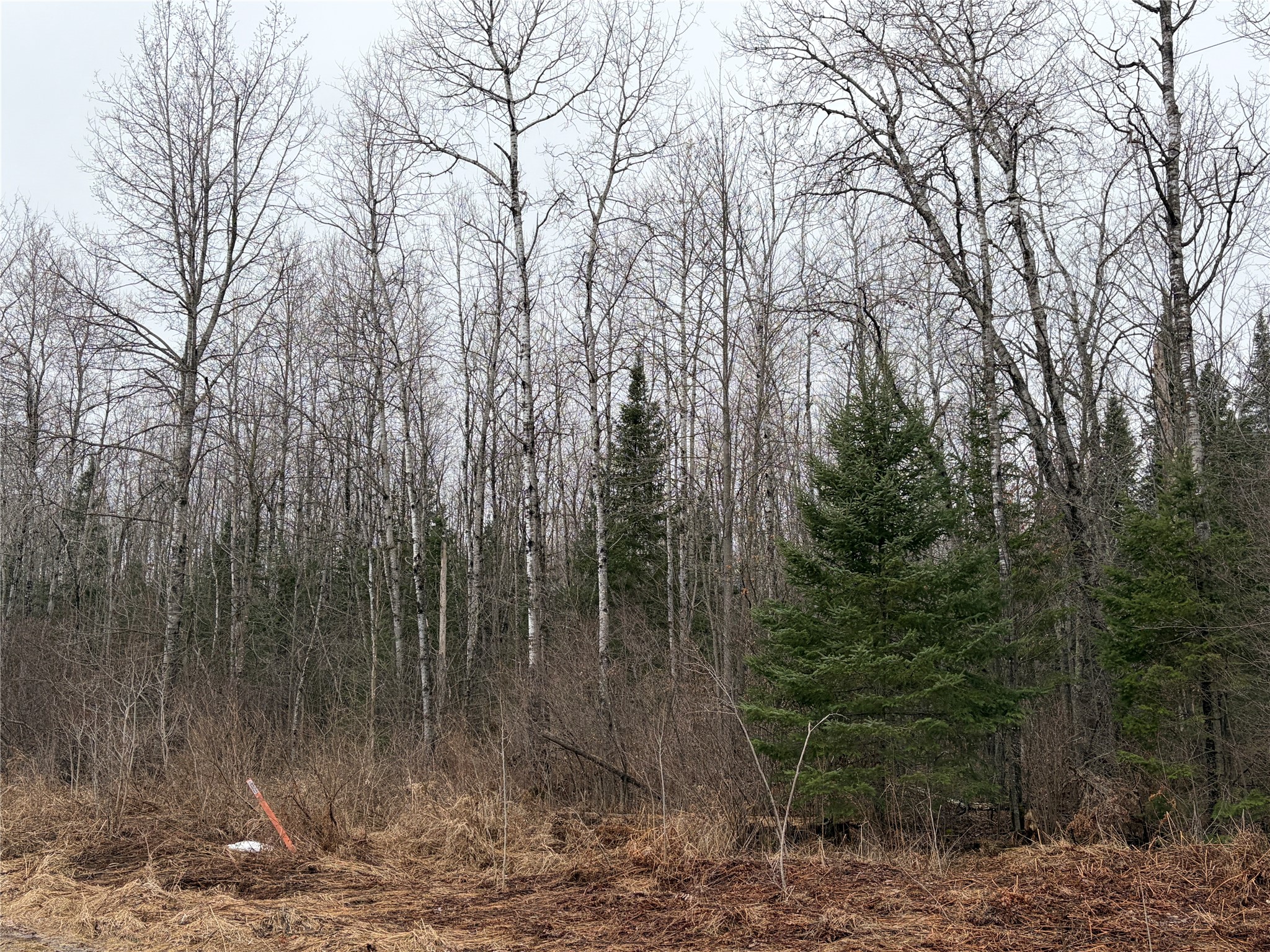 On N Old Couderay Road Property Photo 2