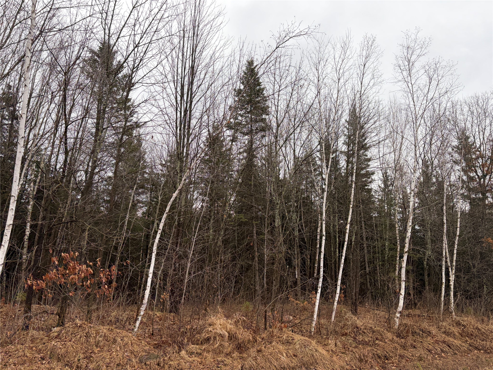 On Sheep Camp Road Property Photo 2