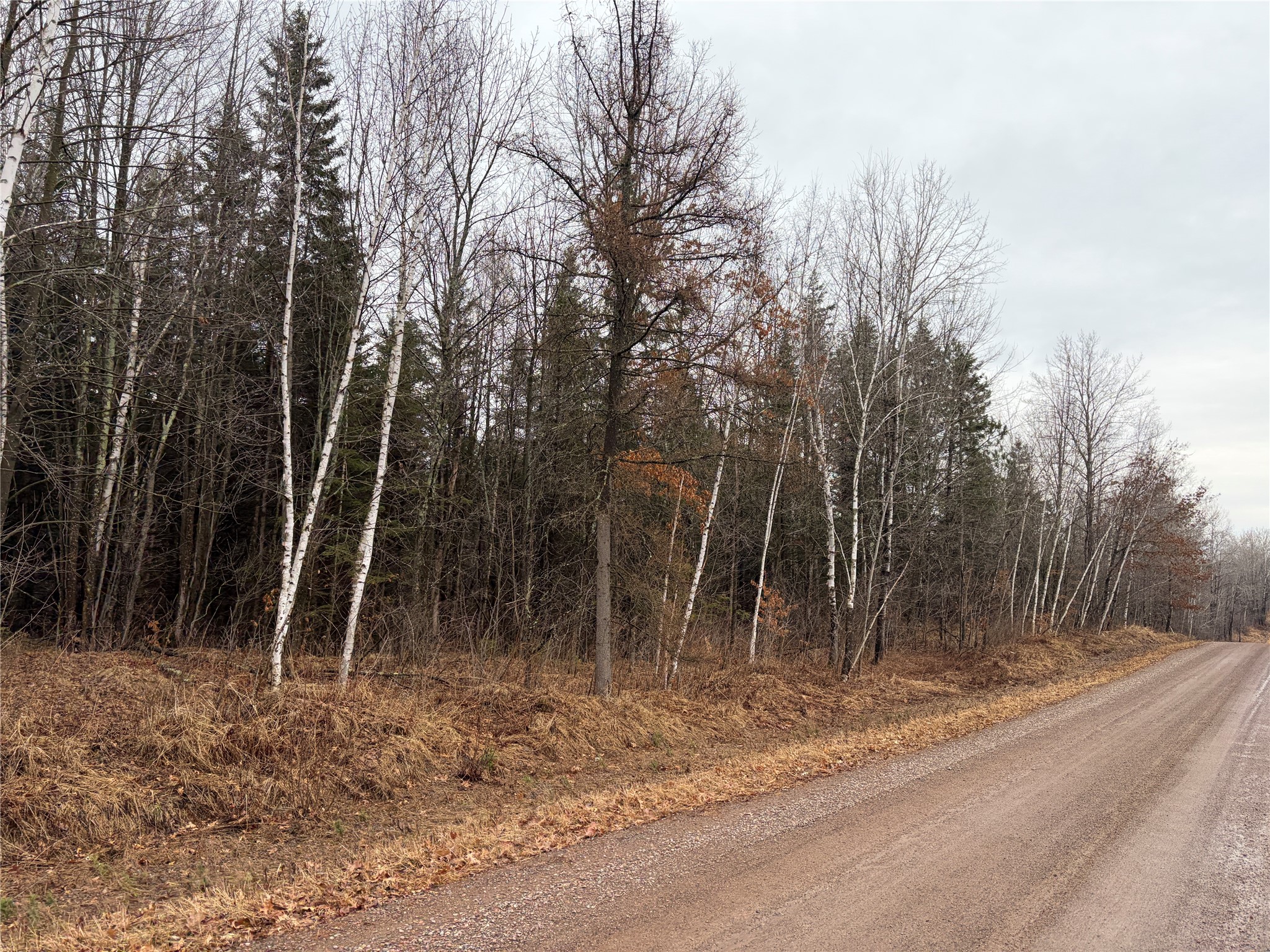 On Sheep Camp Road Property Photo 3