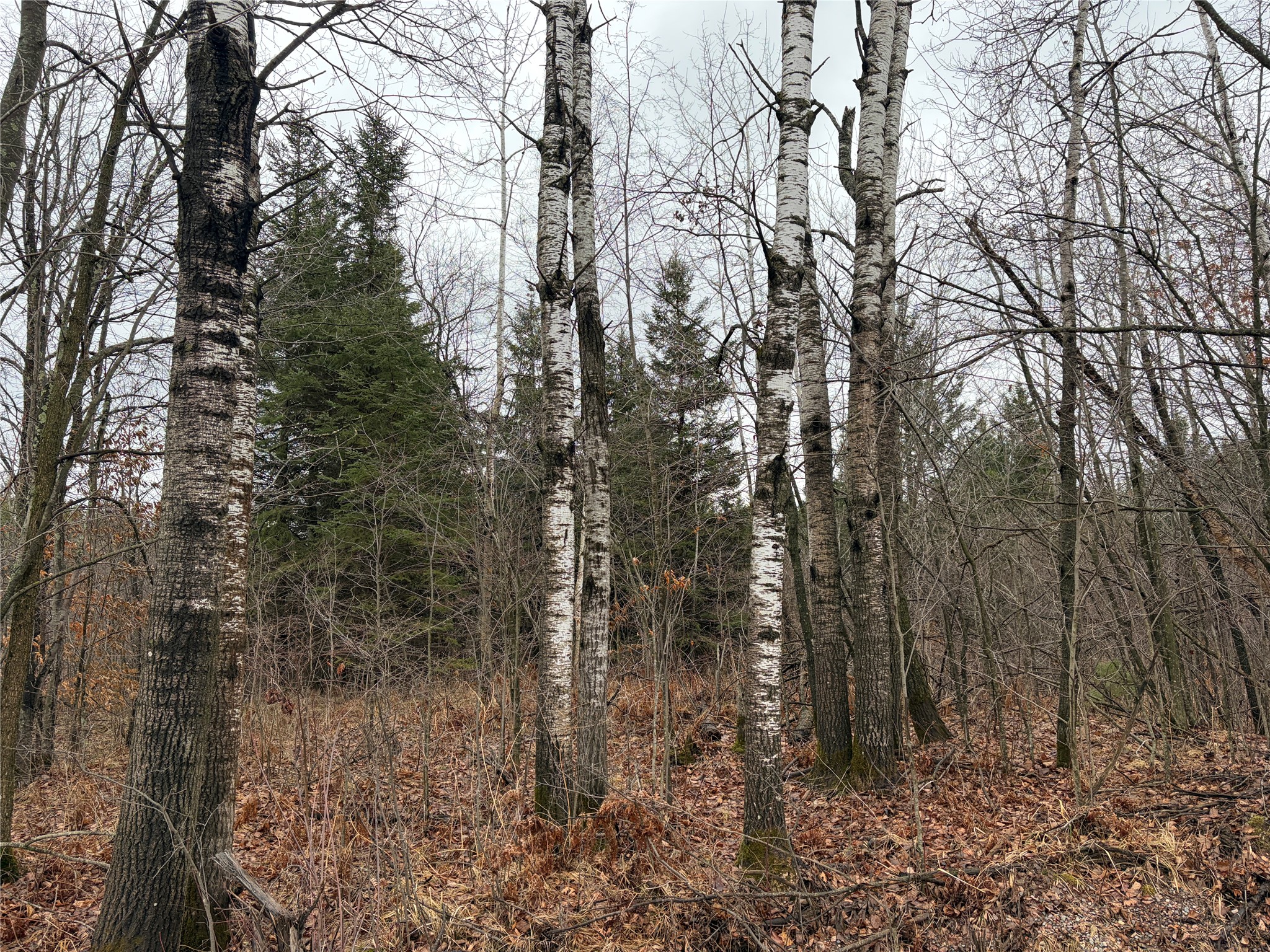 On Sheep Camp Road Property Photo 4