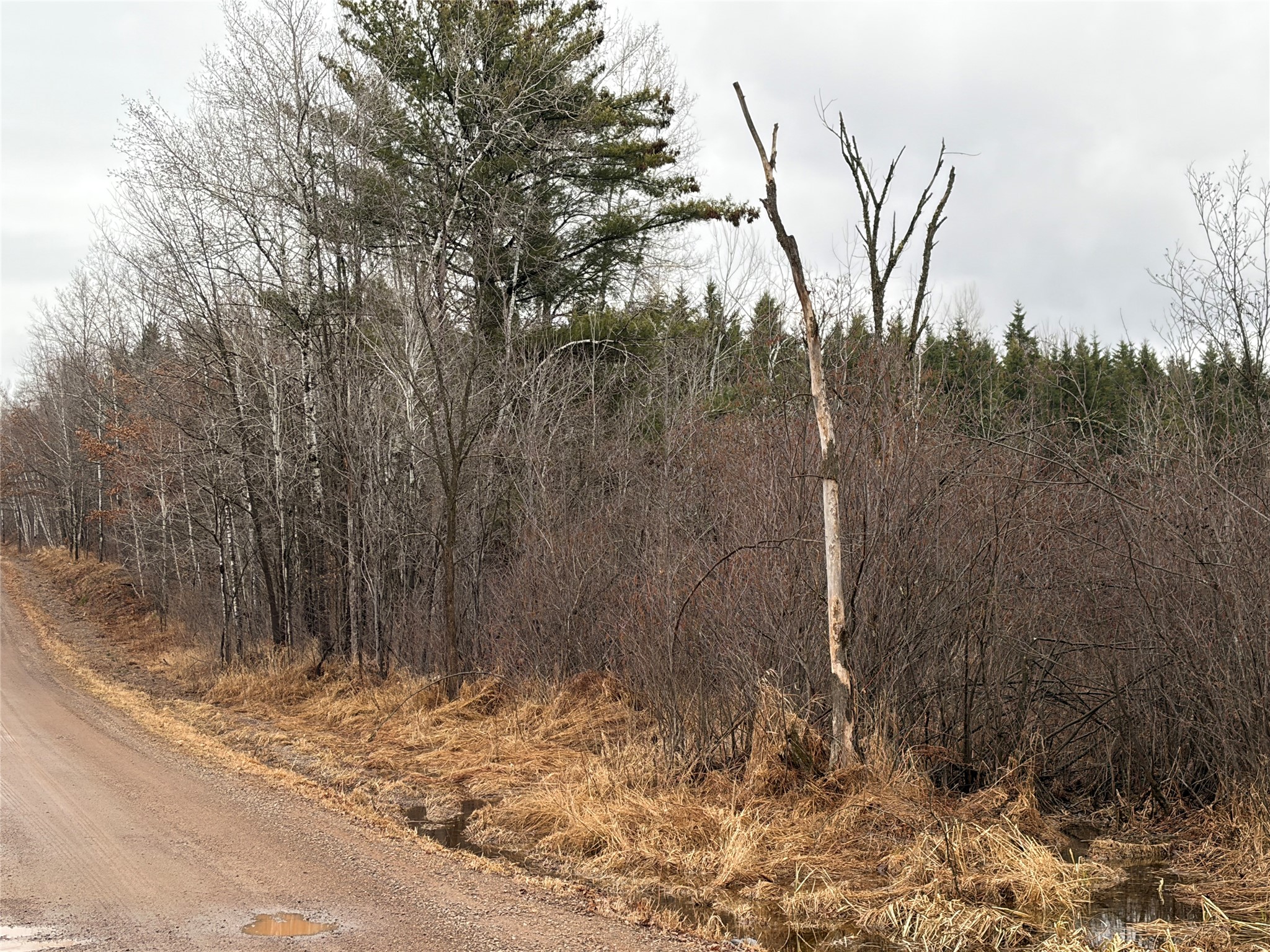 On Sheep Camp Road Property Photo 5
