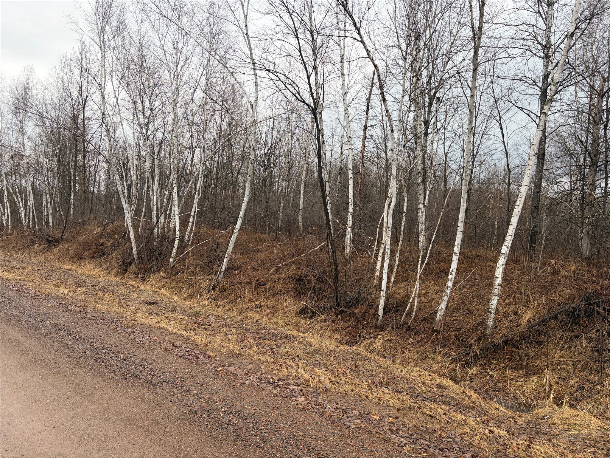On Sheep Camp Road Property Photo 1