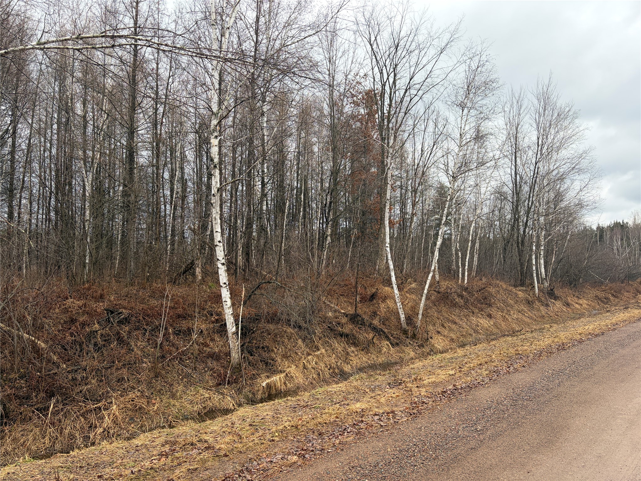 On Sheep Camp Road Property Photo 2