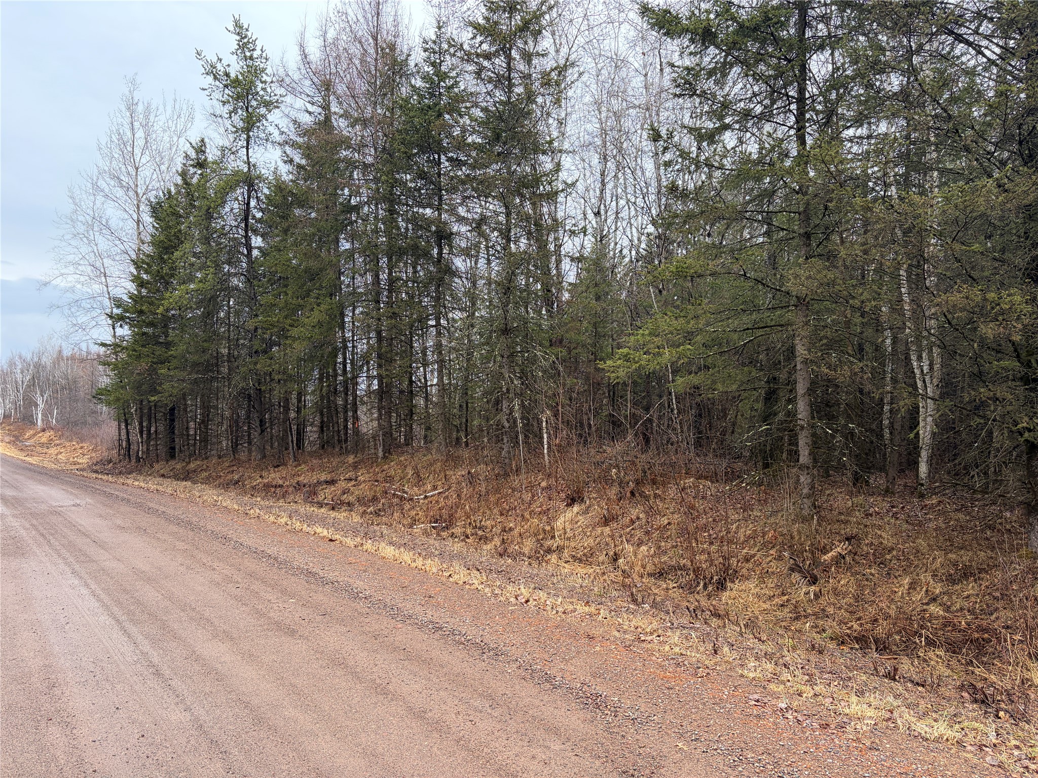 On Sheep Camp Road Property Photo 5