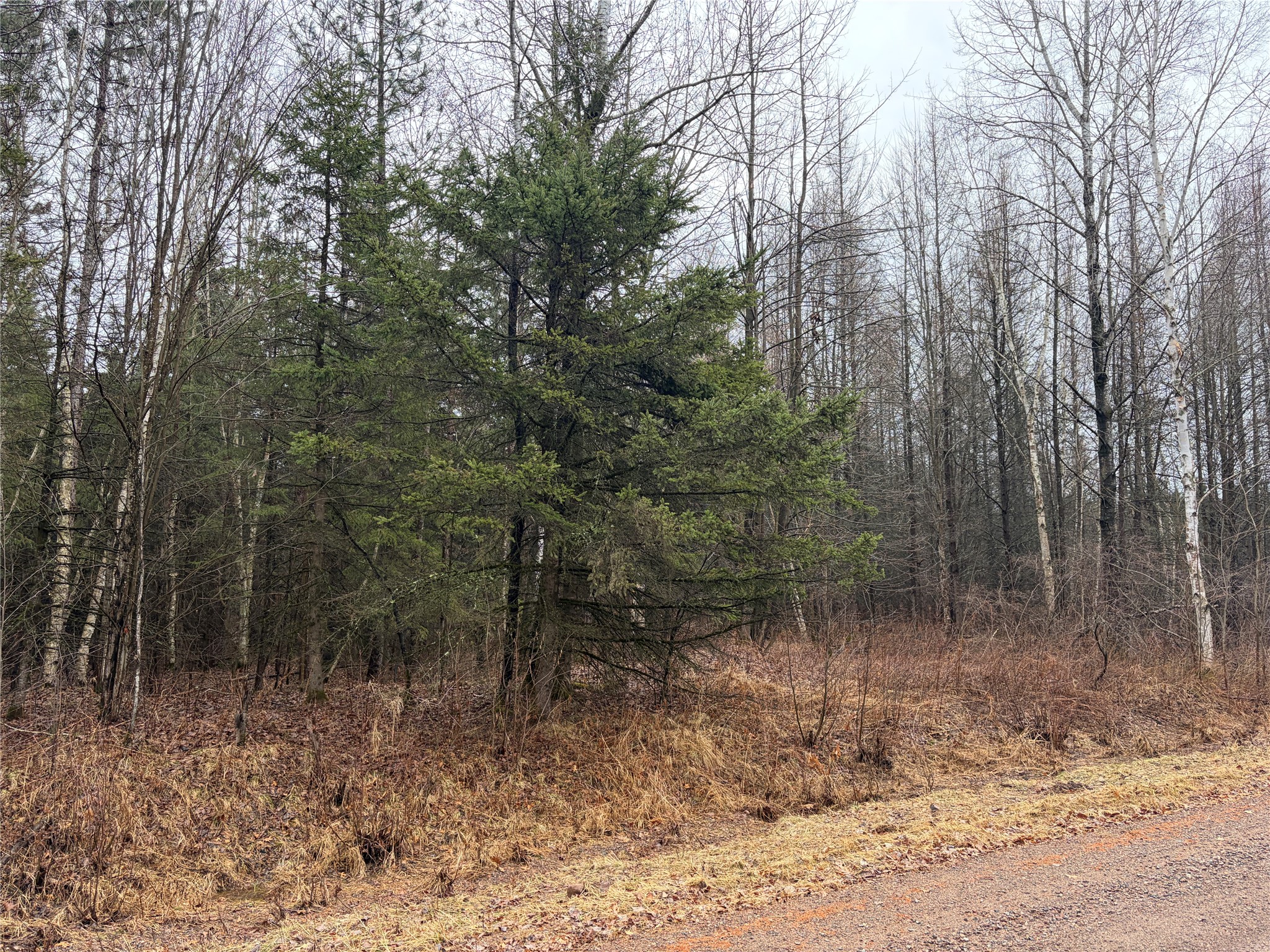 On Sheep Camp Road Property Photo 6