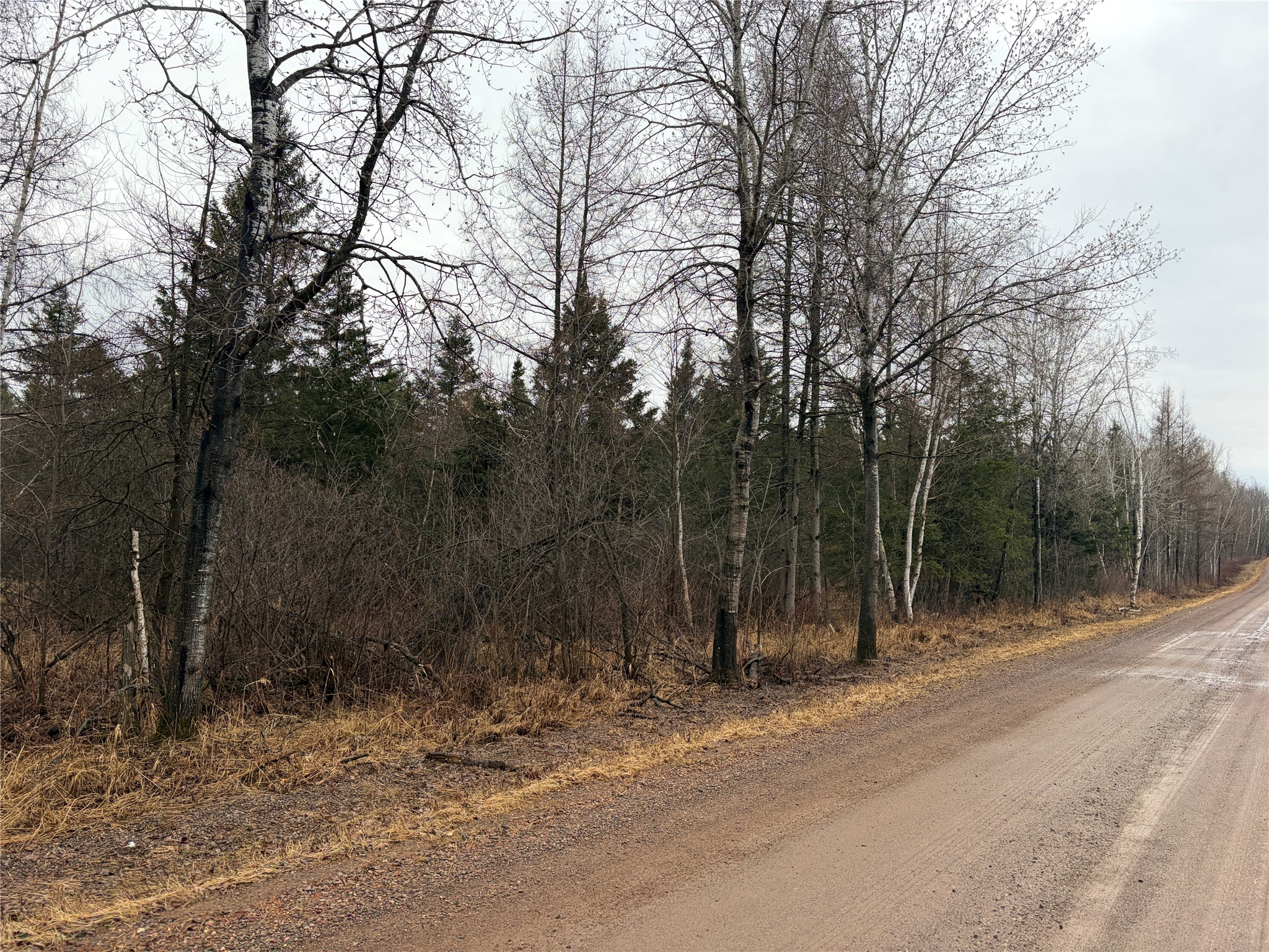 ON Sheep Camp Road