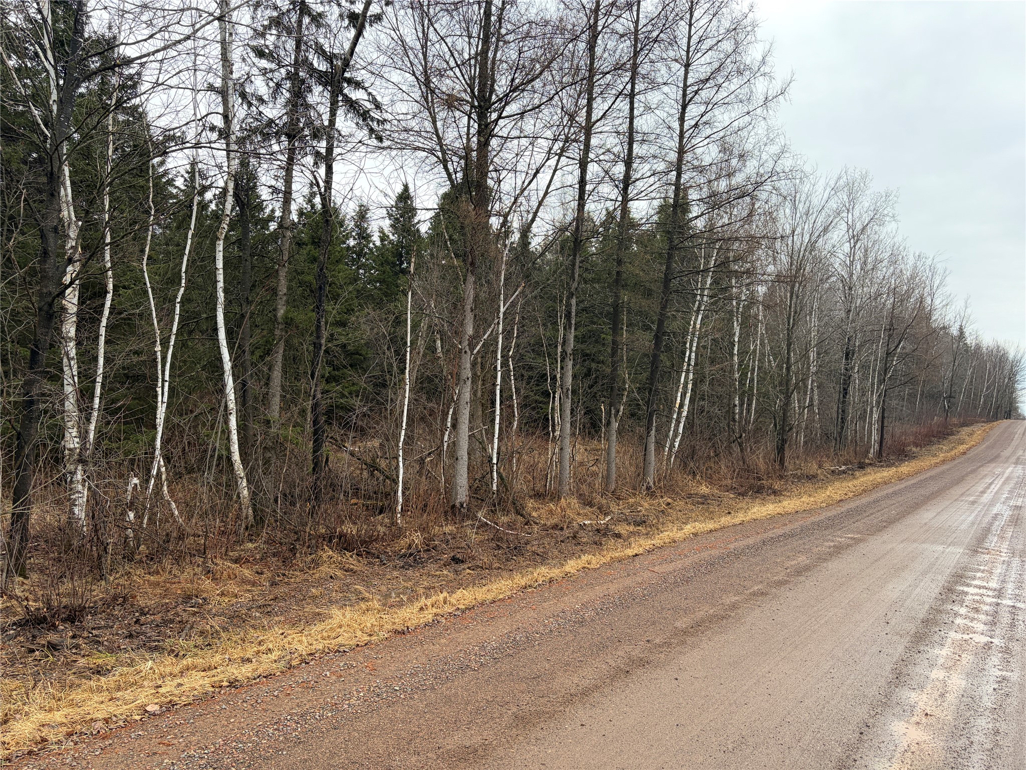 On Sheep Camp Road Property Photo 2