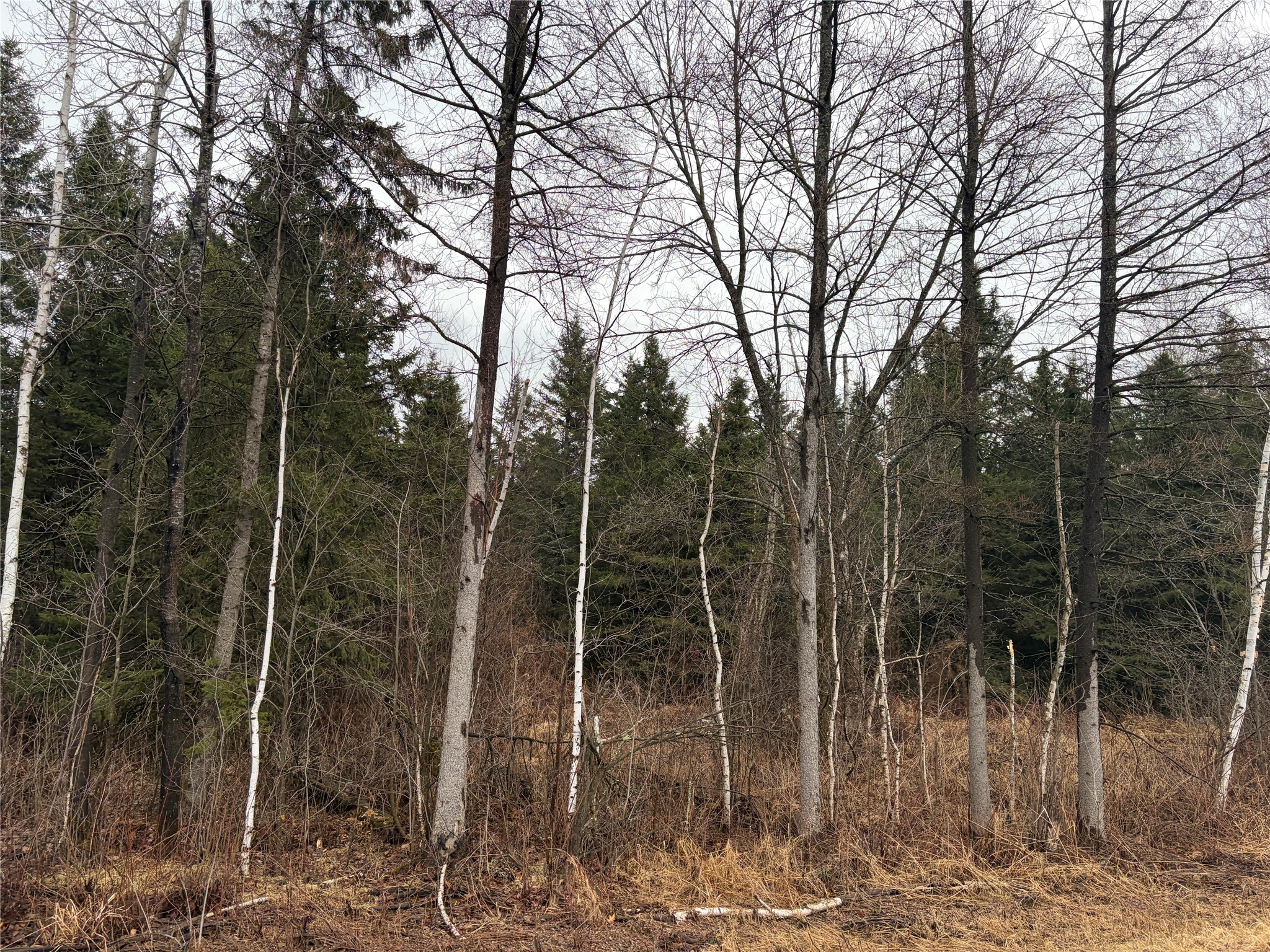 On Sheep Camp Road Property Photo 3