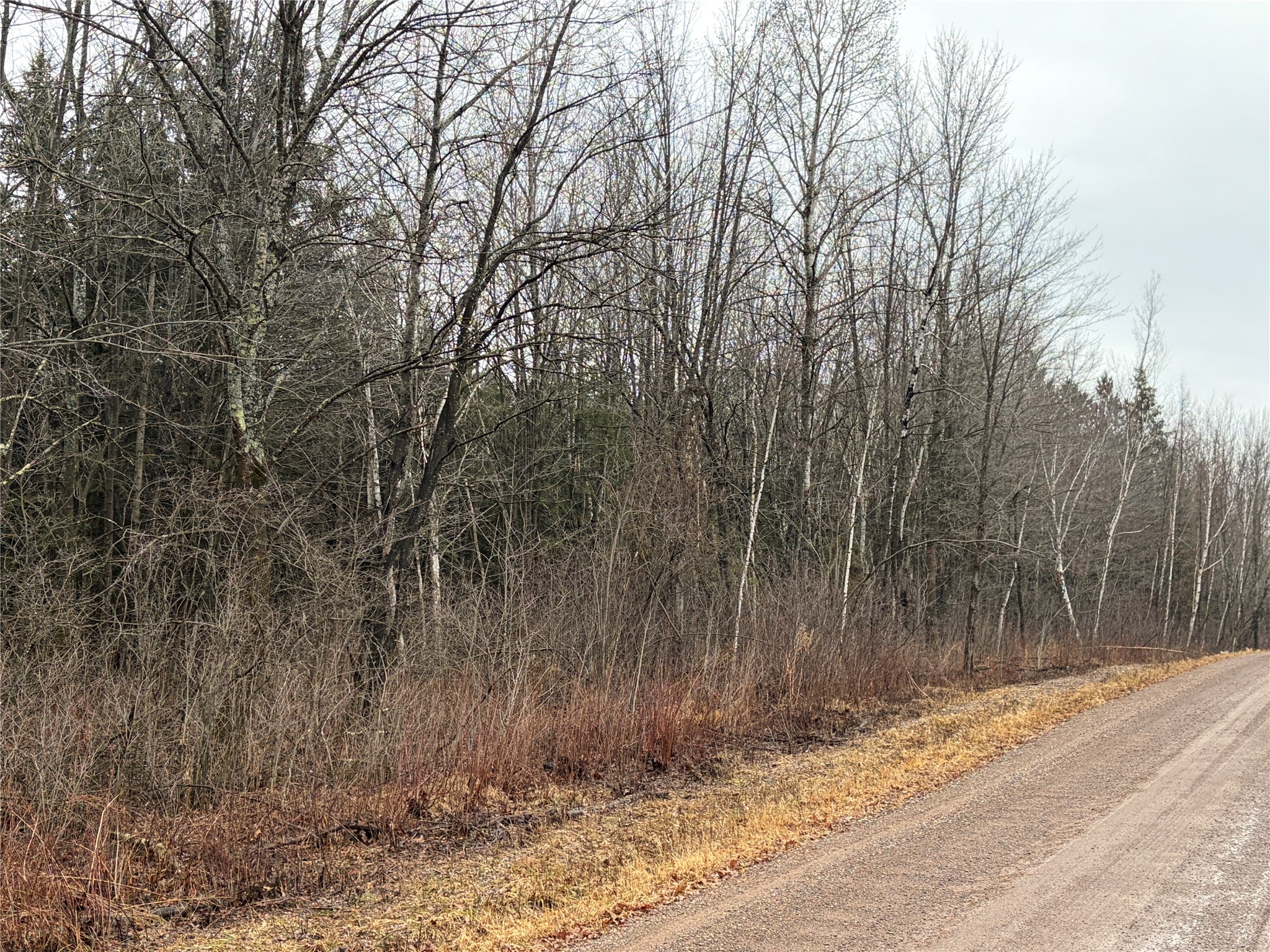 On Sheep Camp Road Property Photo 4
