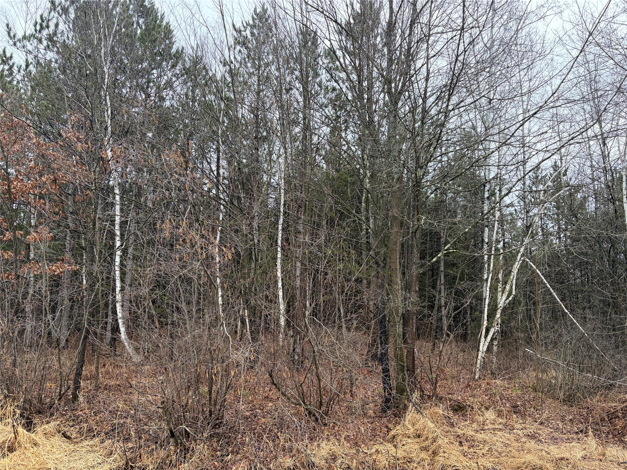 On Sheep Camp Road Property Photo 5